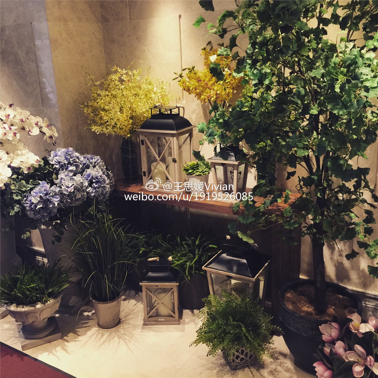 网络红人王思媛Vivian微博自拍写真合集 1