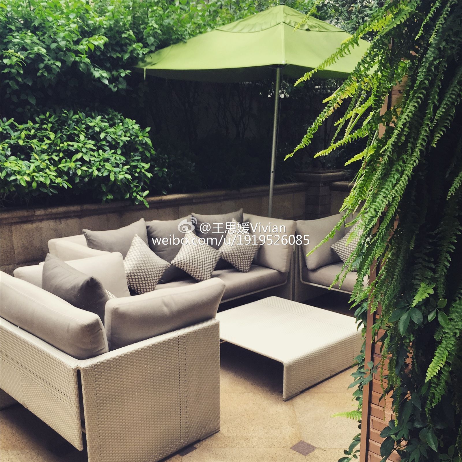 网络红人王思媛Vivian微博自拍写真合集 1