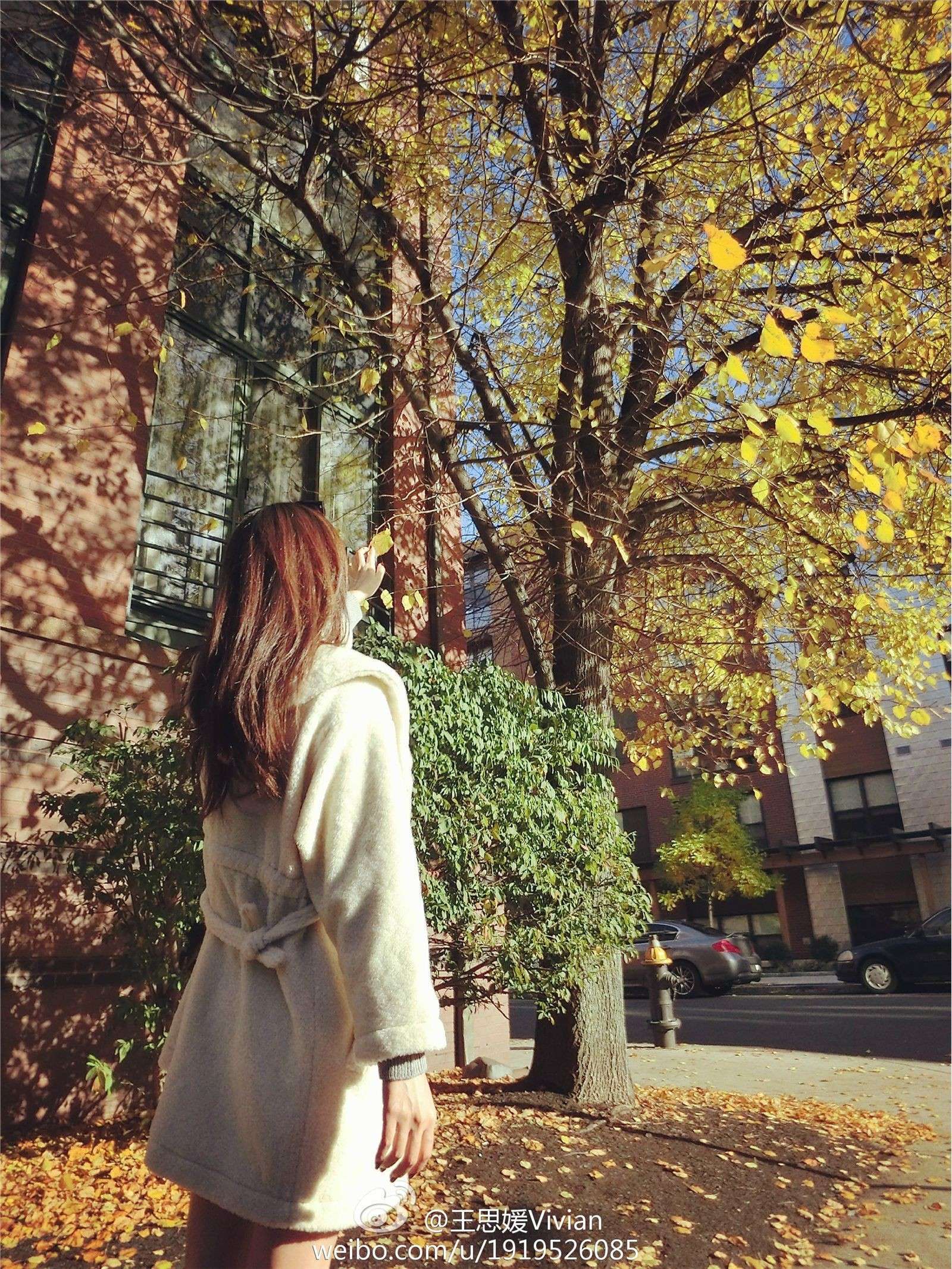 网络红人王思媛Vivian微博自拍写真合集 1
