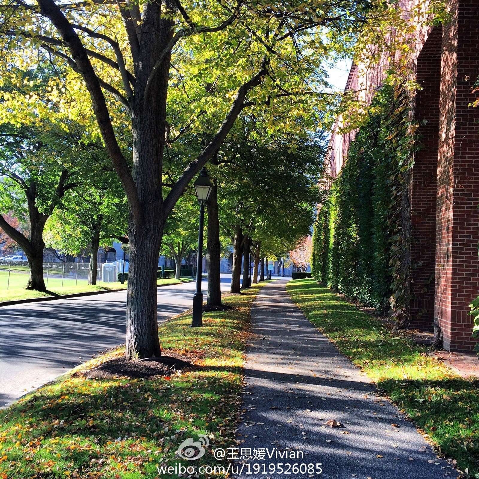 网络红人王思媛Vivian微博自拍写真合集 2