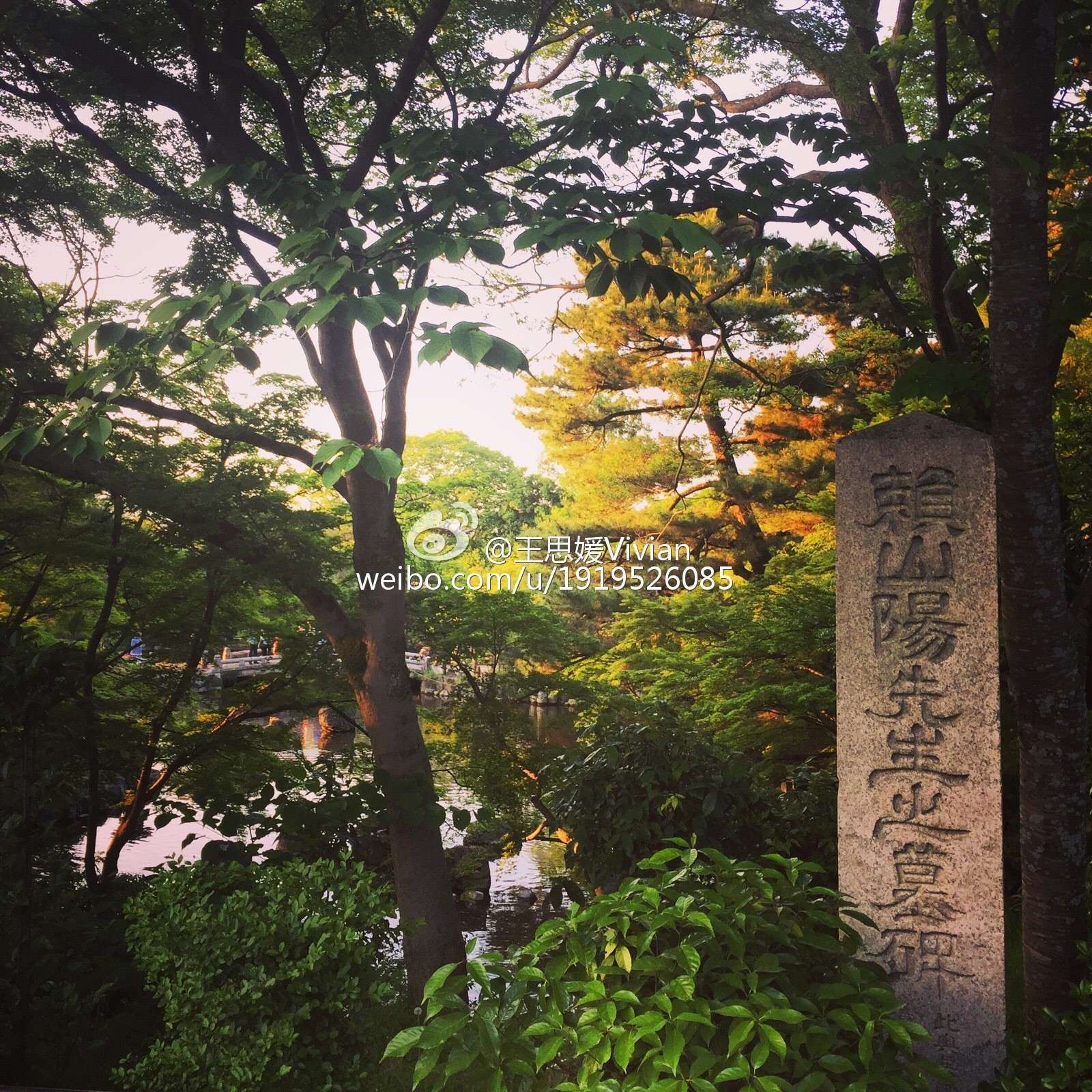 网络红人王思媛Vivian微博自拍写真合集 2