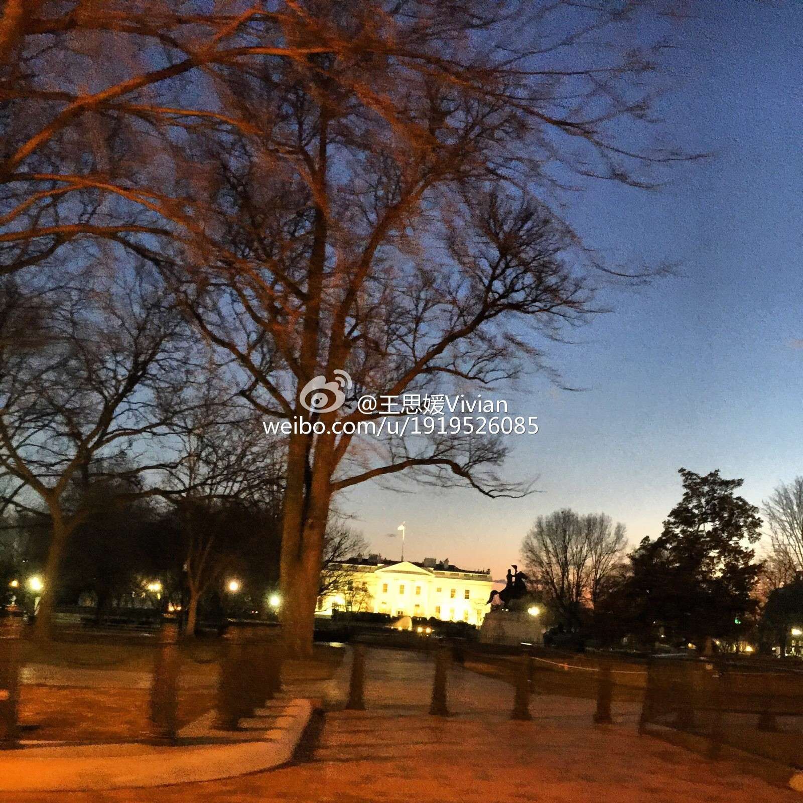 网络红人王思媛Vivian微博自拍写真合集 2