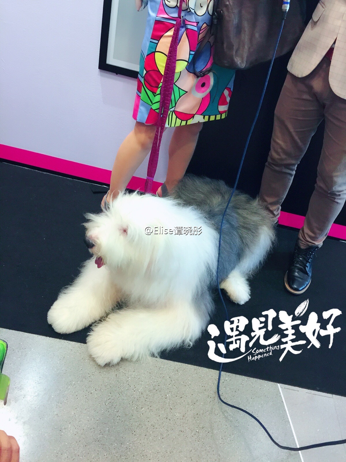 极品胸器嫩模Elise谭晓彤微博福利图片