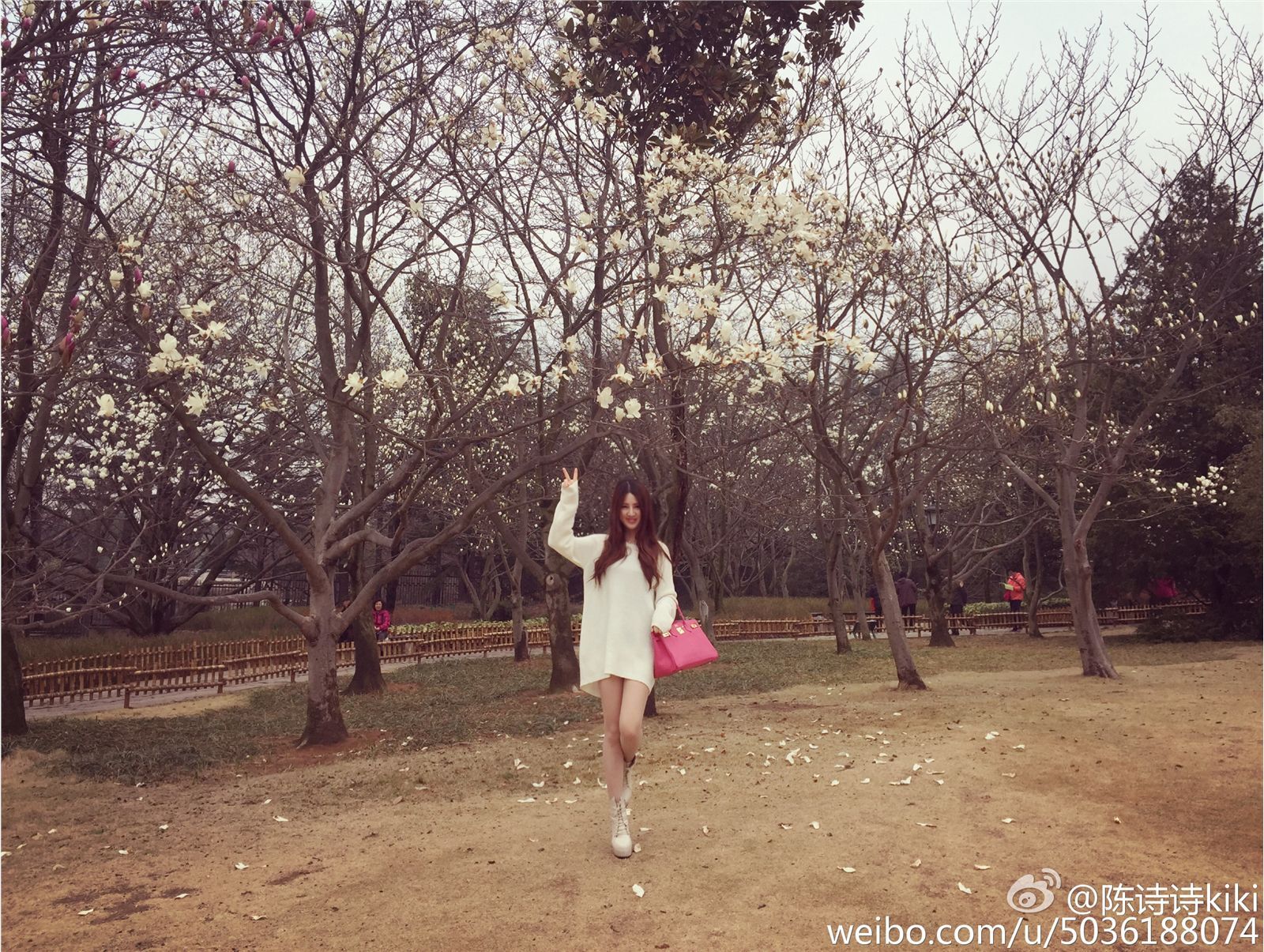 淘女郎陈诗诗 超美微博图集 1