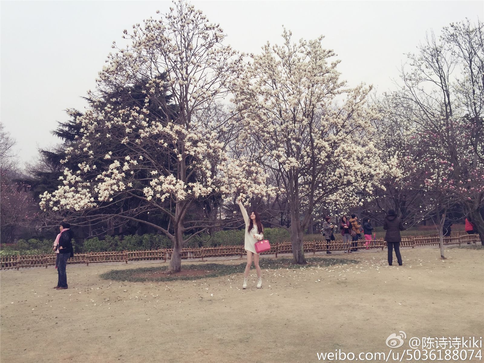 淘女郎陈诗诗 超美微博图集 1