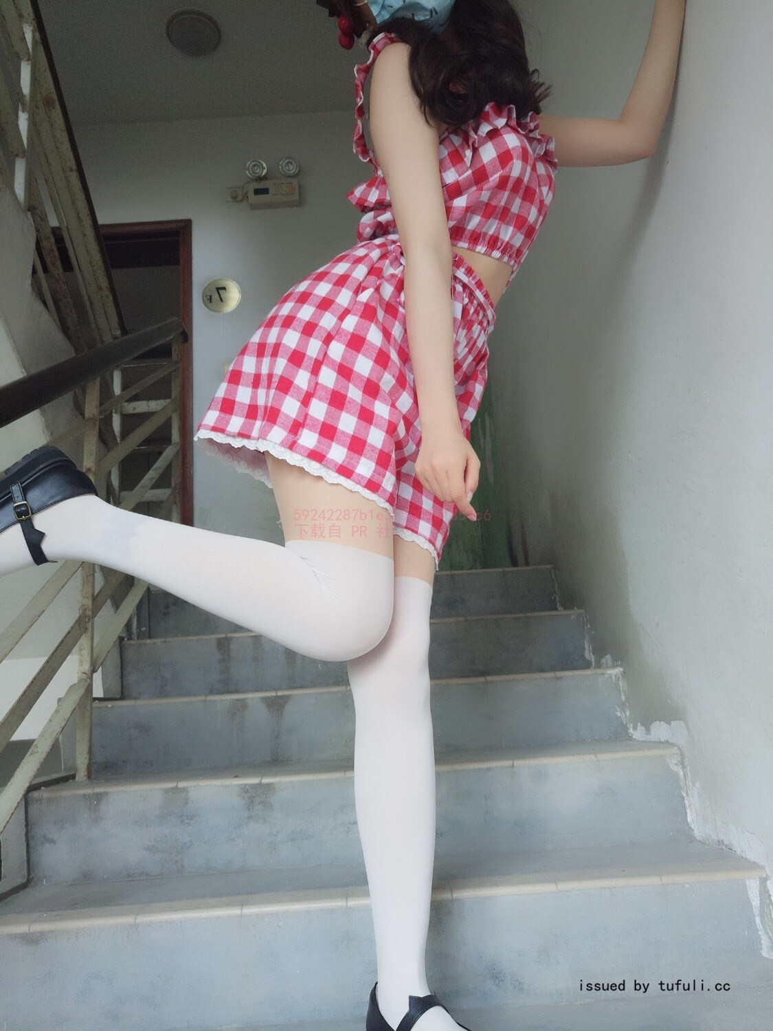 棉尾兔几 红白格连衣裙  猫猫