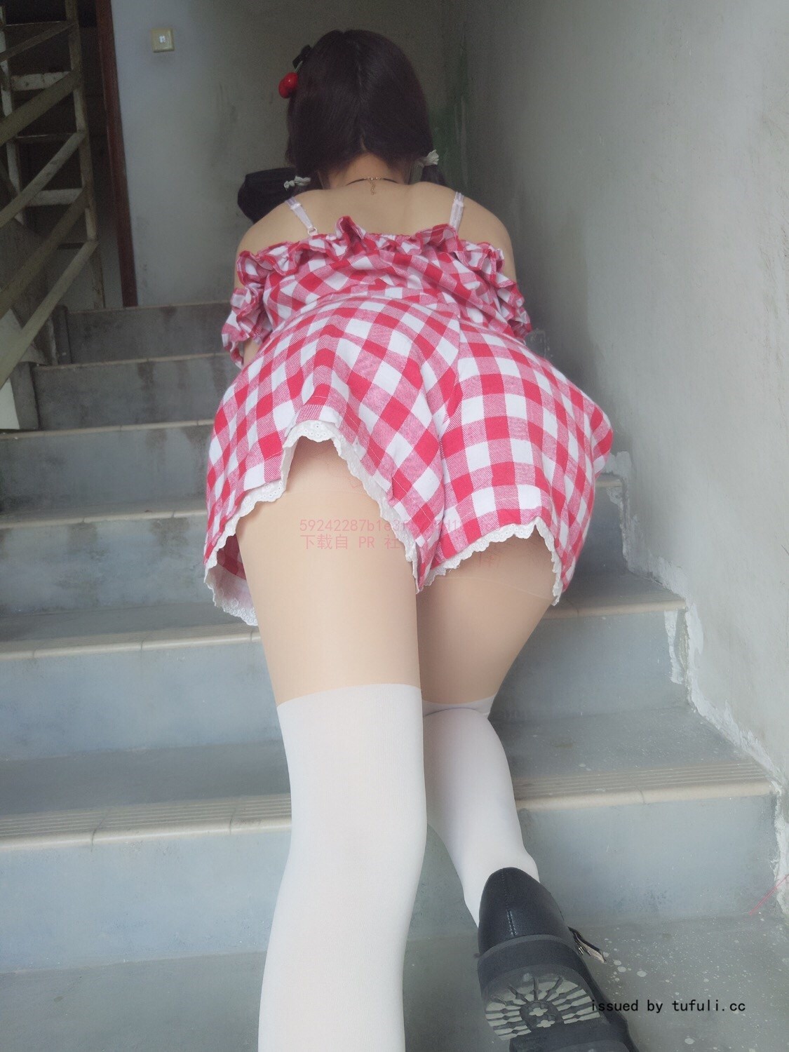 棉尾兔几 红白格连衣裙  猫猫