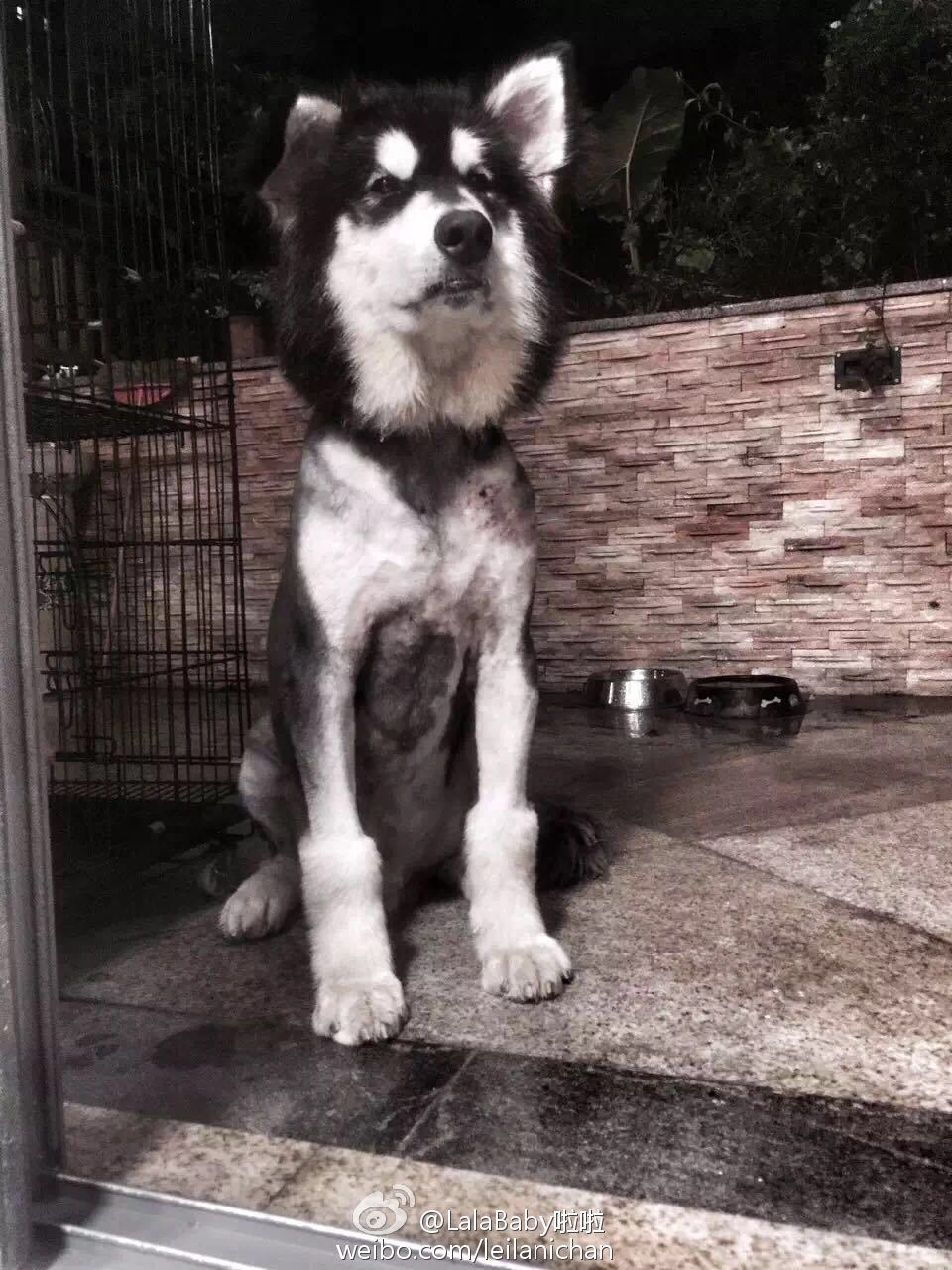 清新美少女 LalaBaby啦啦 生活照07