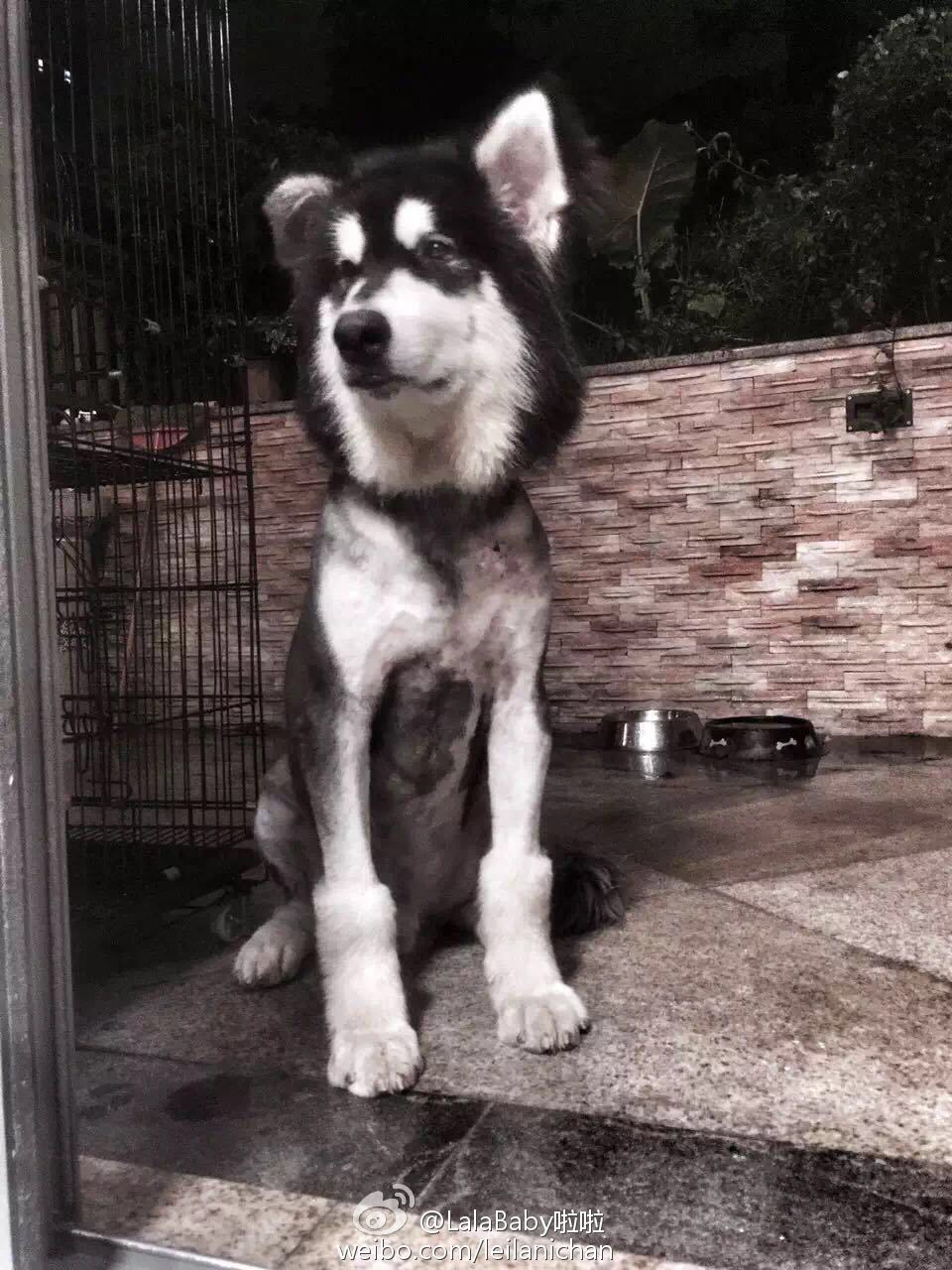 清新美少女 LalaBaby啦啦 生活照07