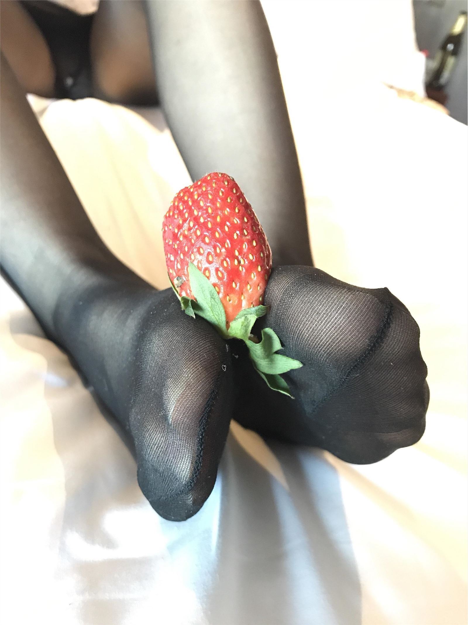 押尾猫—主人吃水水果吗