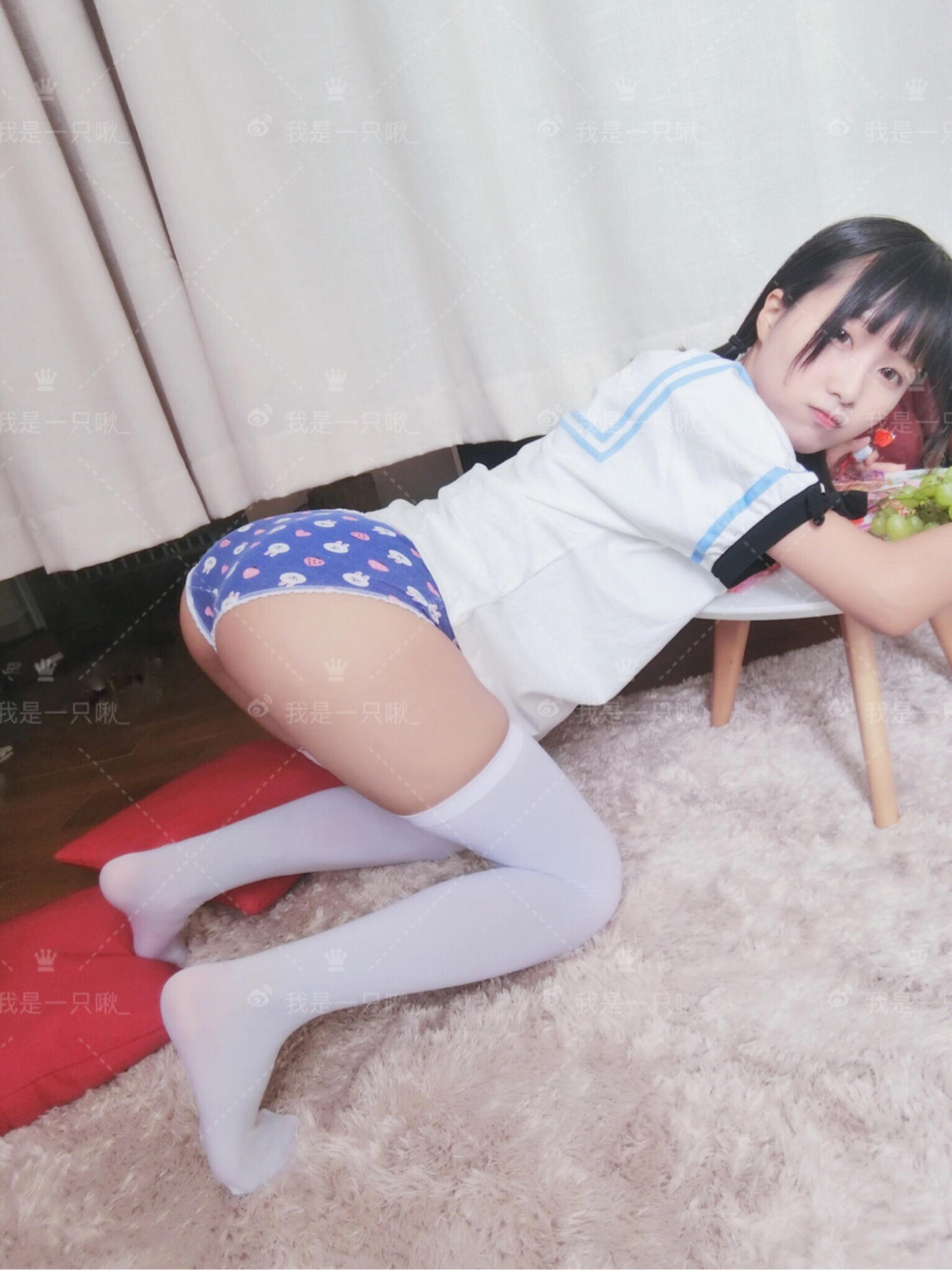 我是一只啾 - 快带我去玩啊