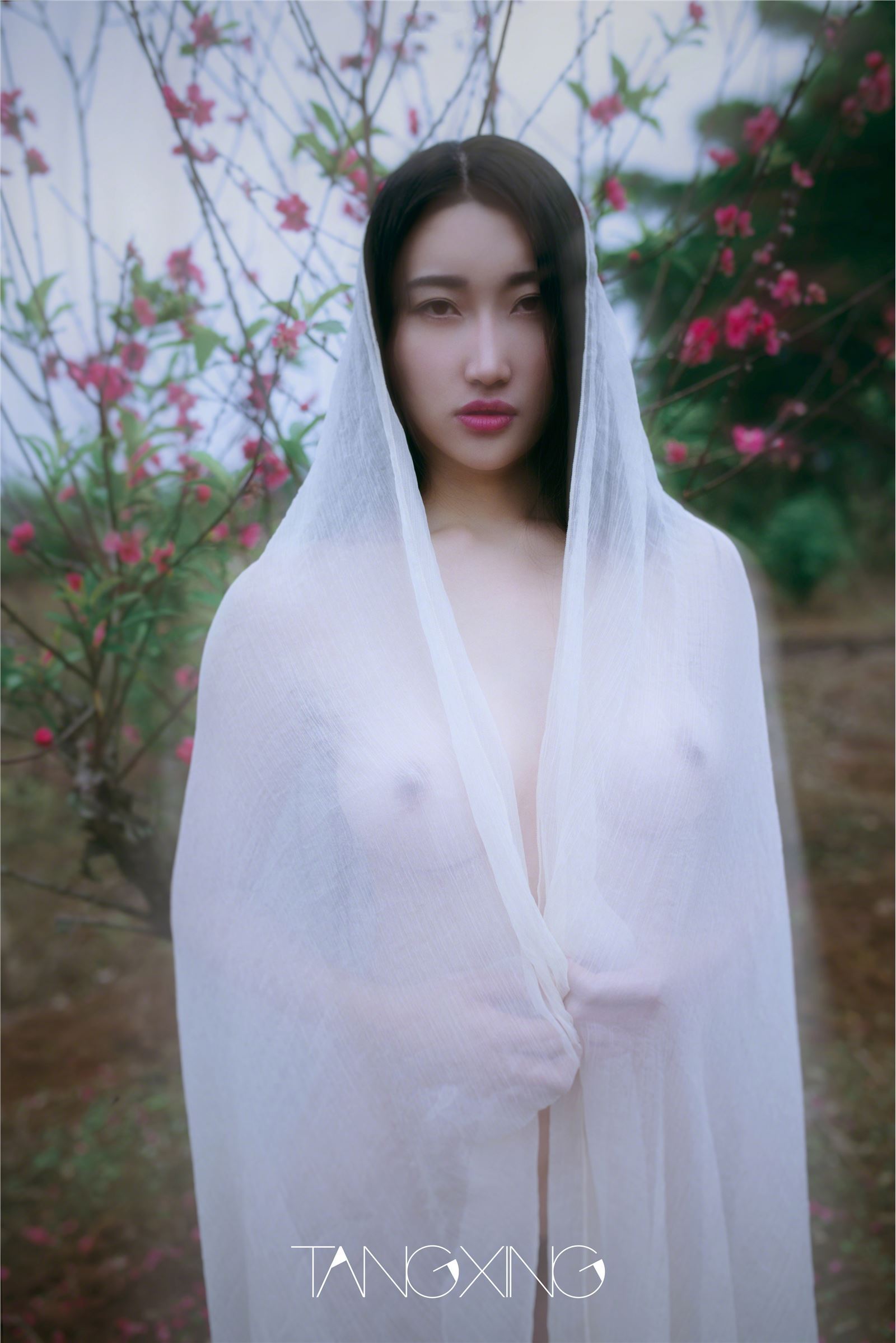 唐兴精选作品第八期-麻豆合集