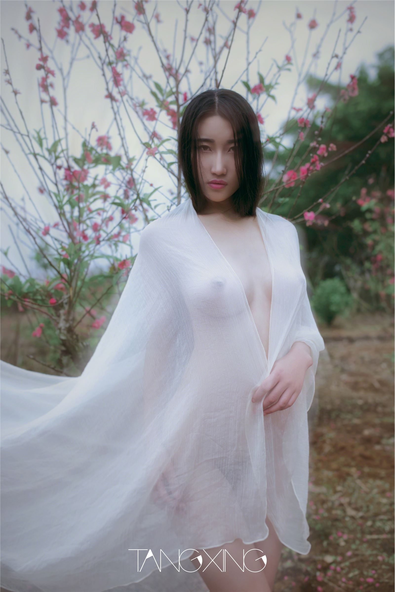 唐兴精选作品第八期-麻豆合集