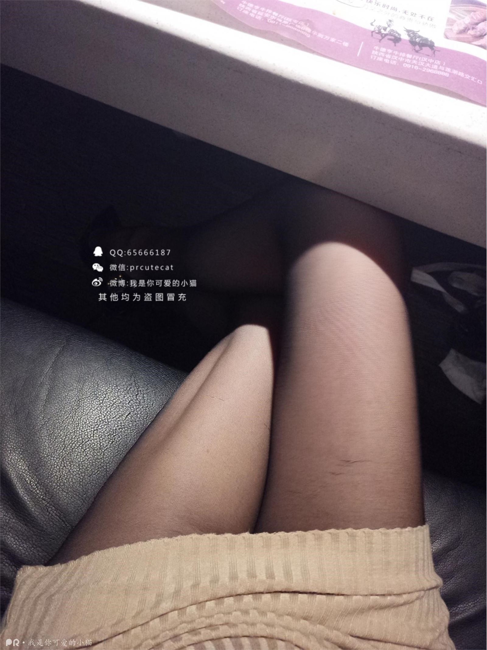 我是你可爱的小猫-学长约西餐厅