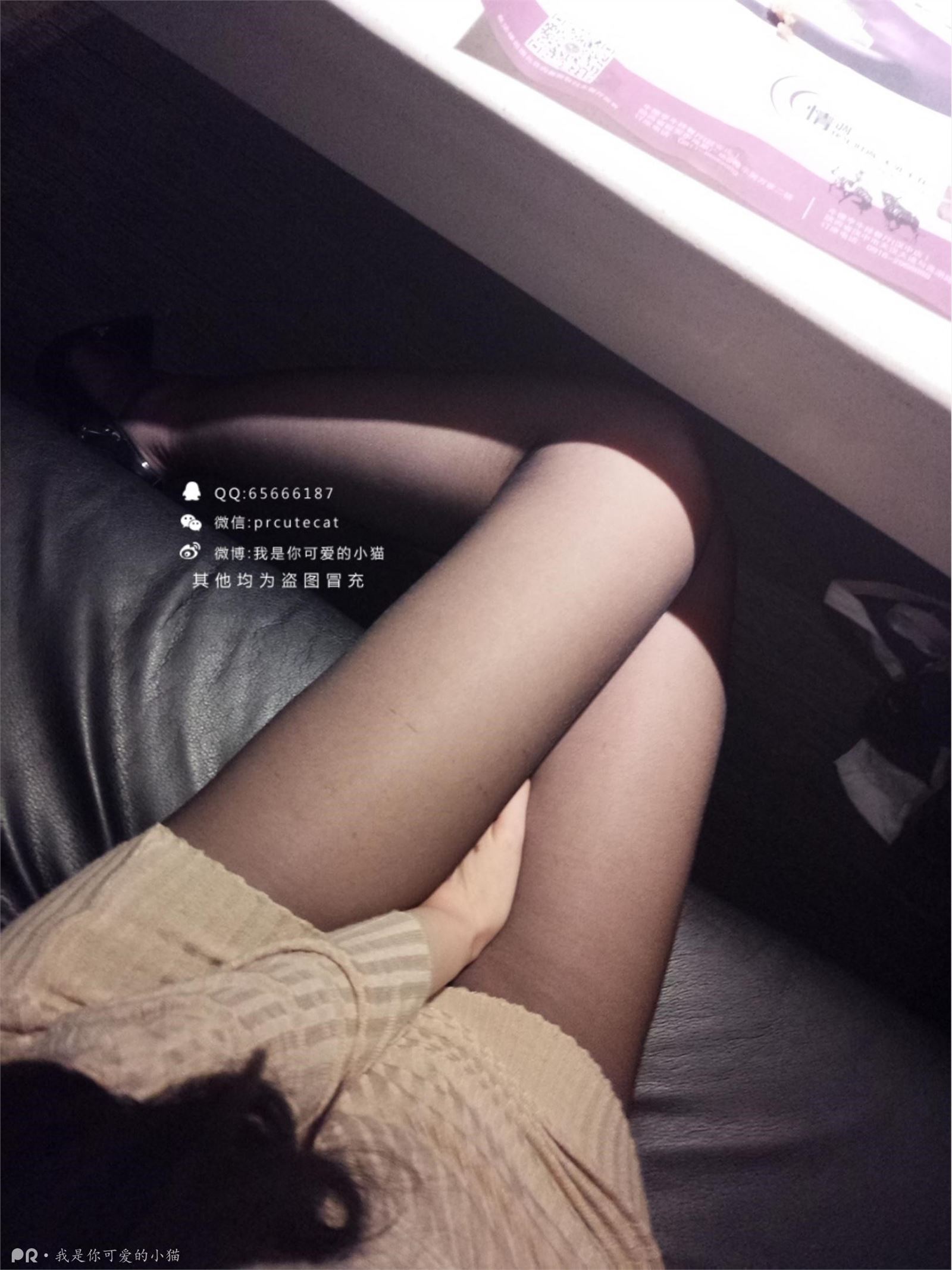 我是你可爱的小猫-学长约西餐厅