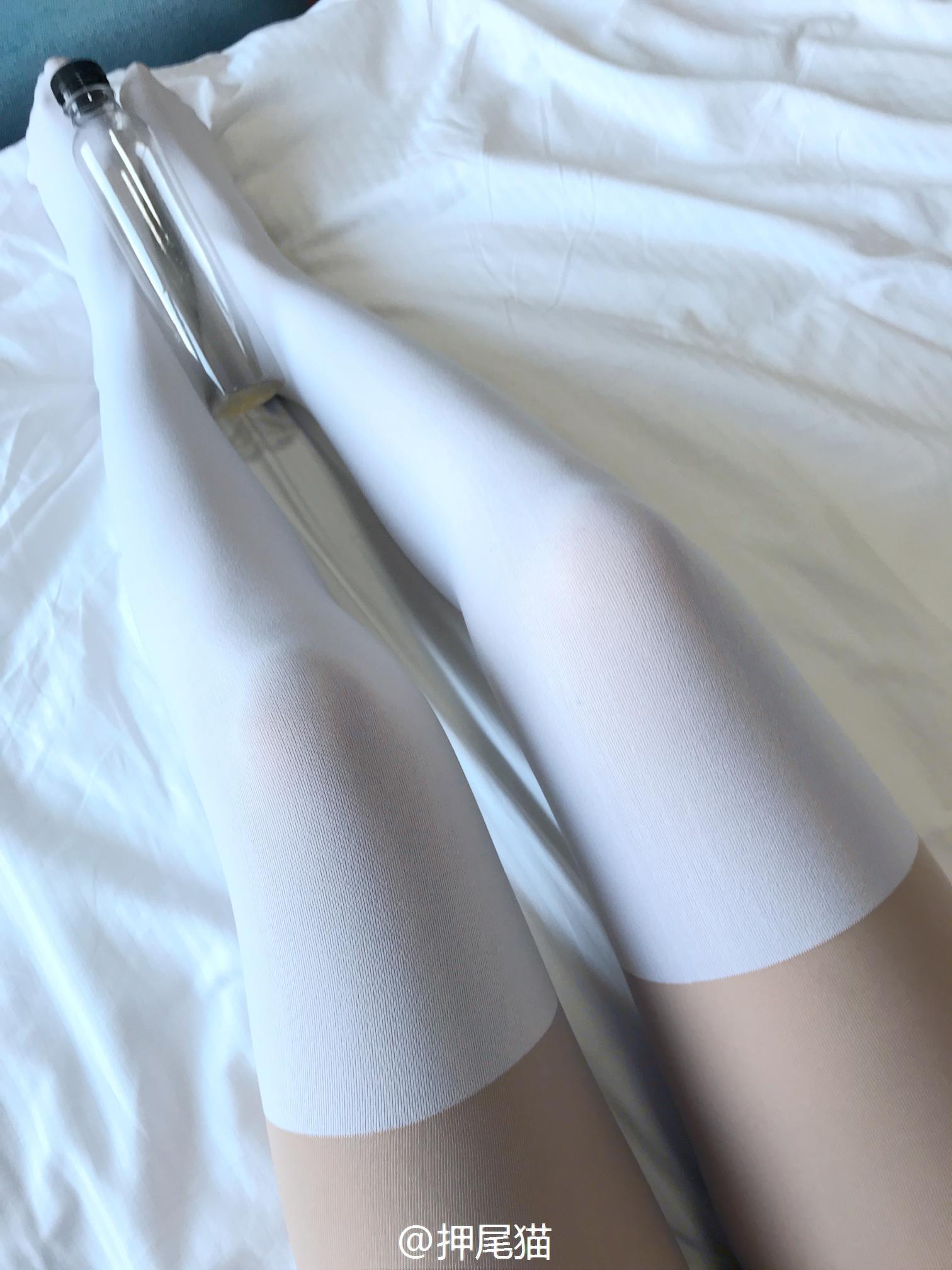 押尾猫—珍珠白丝