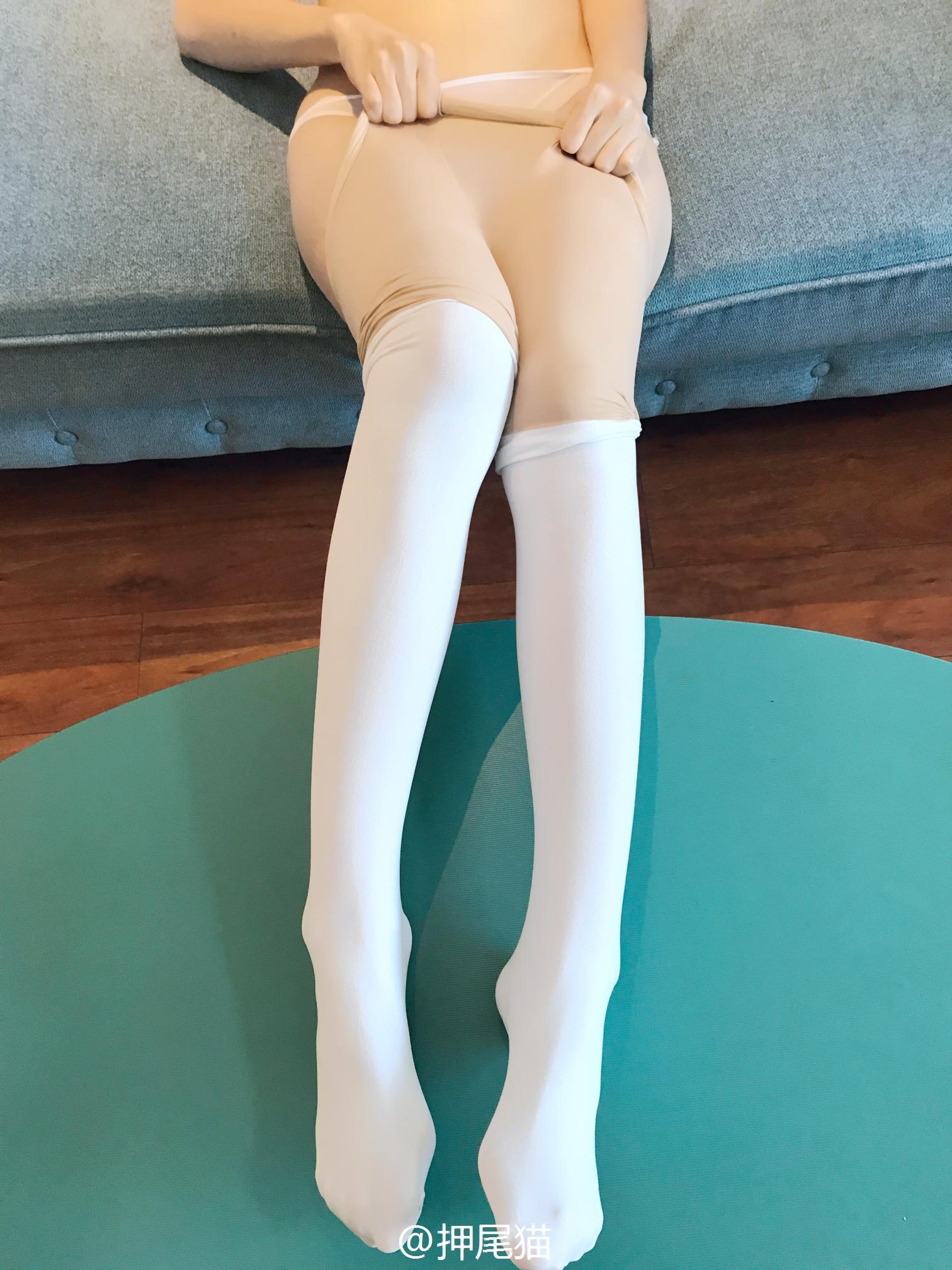 押尾猫—珍珠白丝