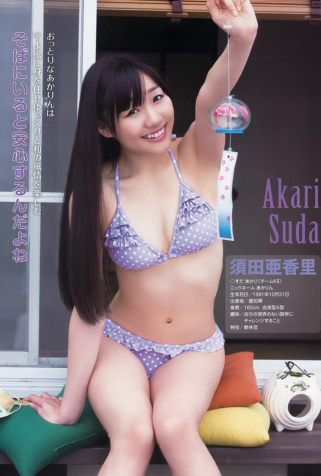 [Young Animal] 2013 No.86 SKE48
