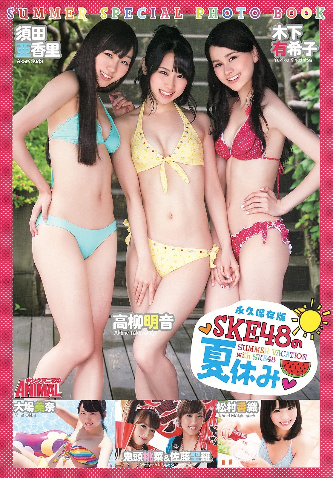 [Young Animal] 2013 No.86 SKE48