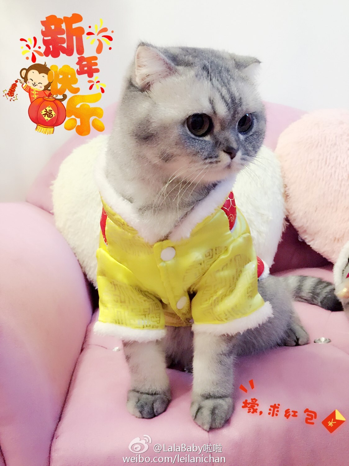 清新美少女 LalaBaby啦啦 生活照09