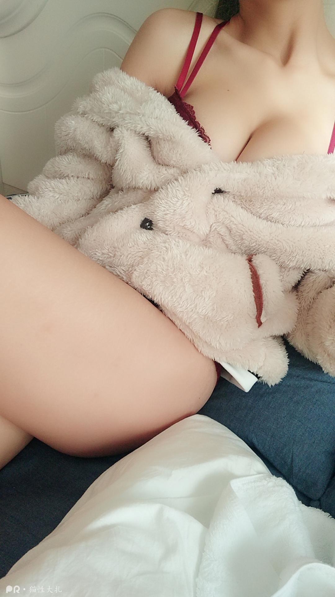 猫性大扎-柜子里藏着一只猫