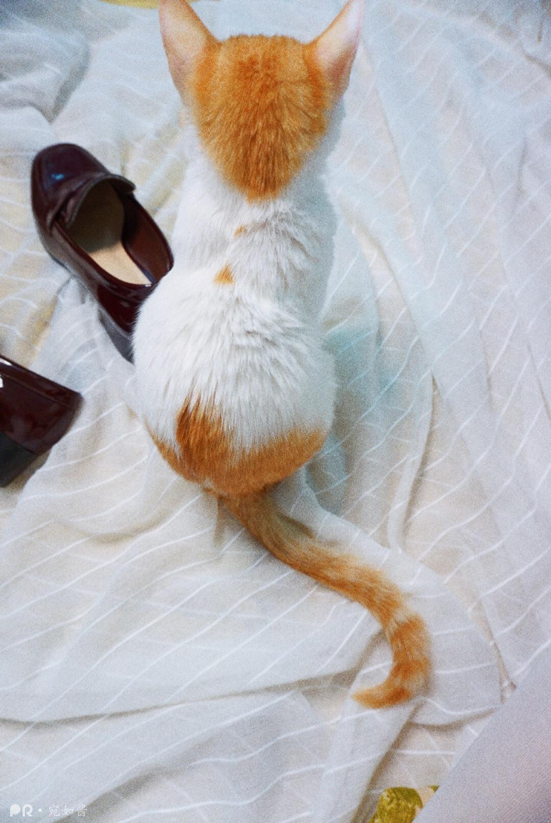 宛如福利 - 闻 ：女体香