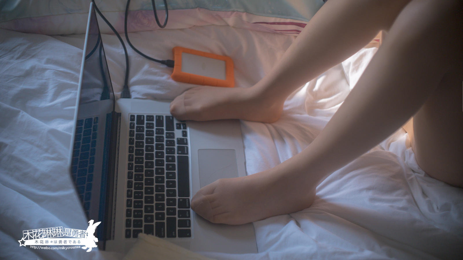 木花琳琳是勇者-人类衰退全篇