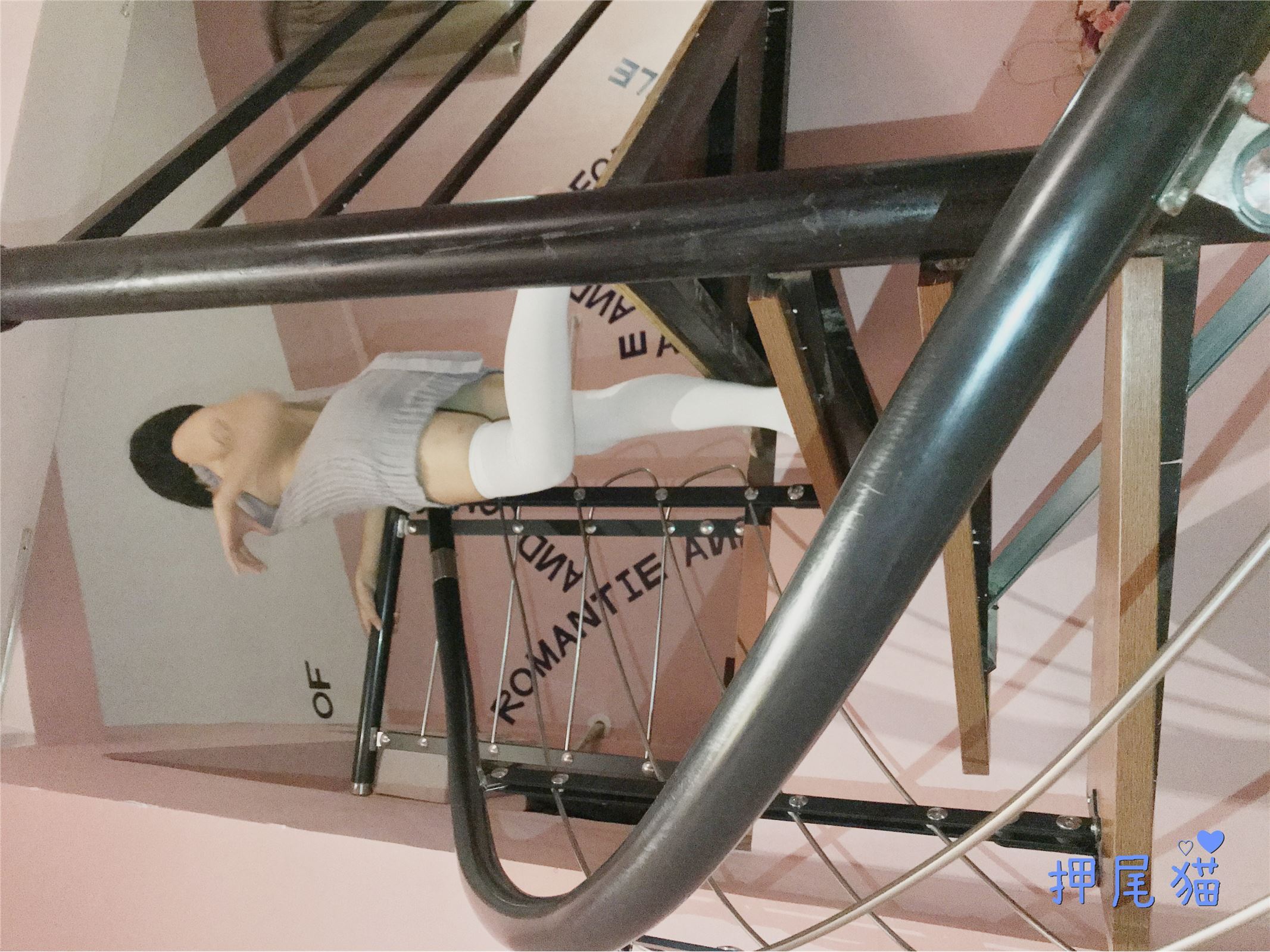 押尾猫 露背毛衣配白丝