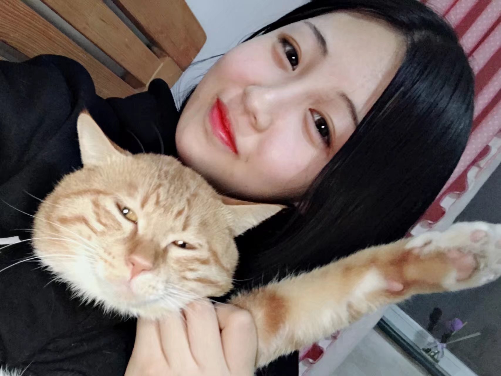 兜兜飞 原版合集杂图 3