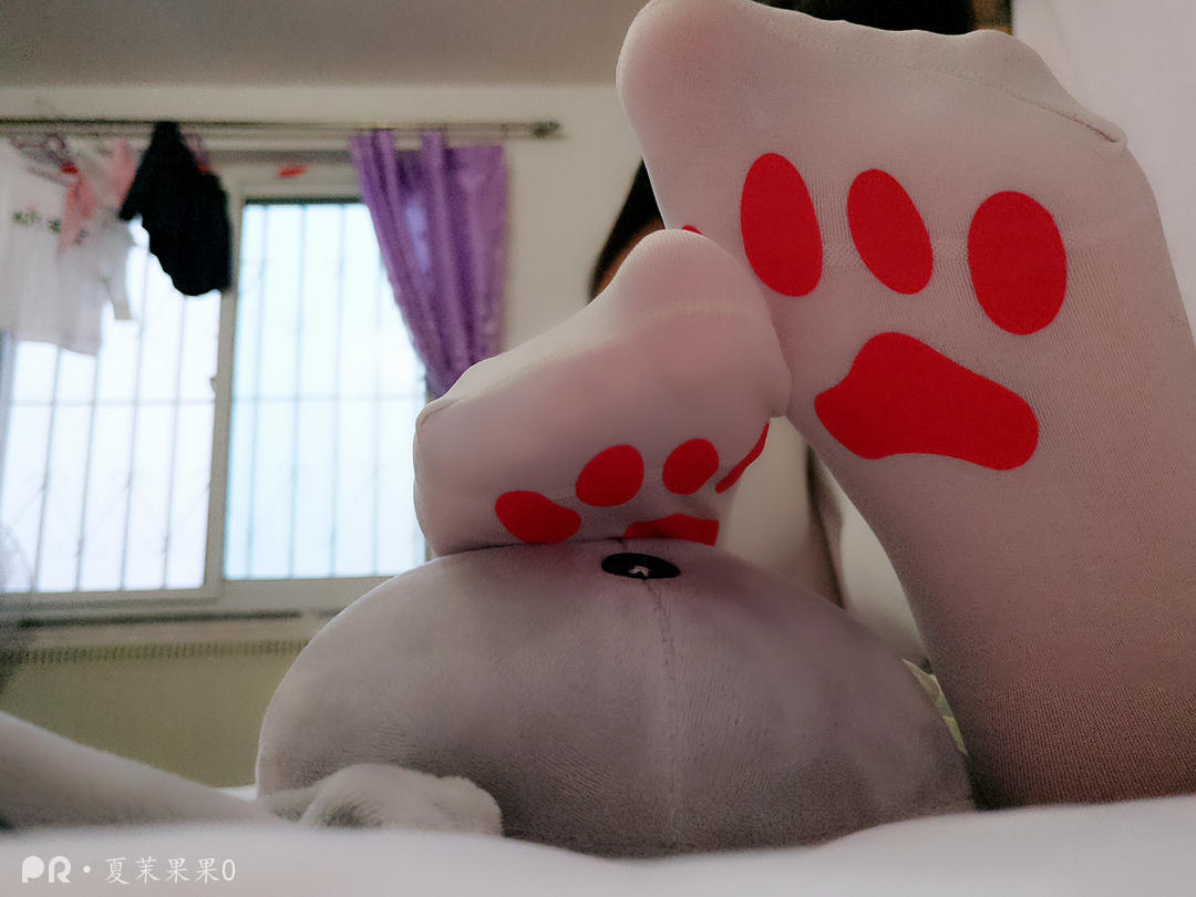 猫爪 夏茉果果-视图