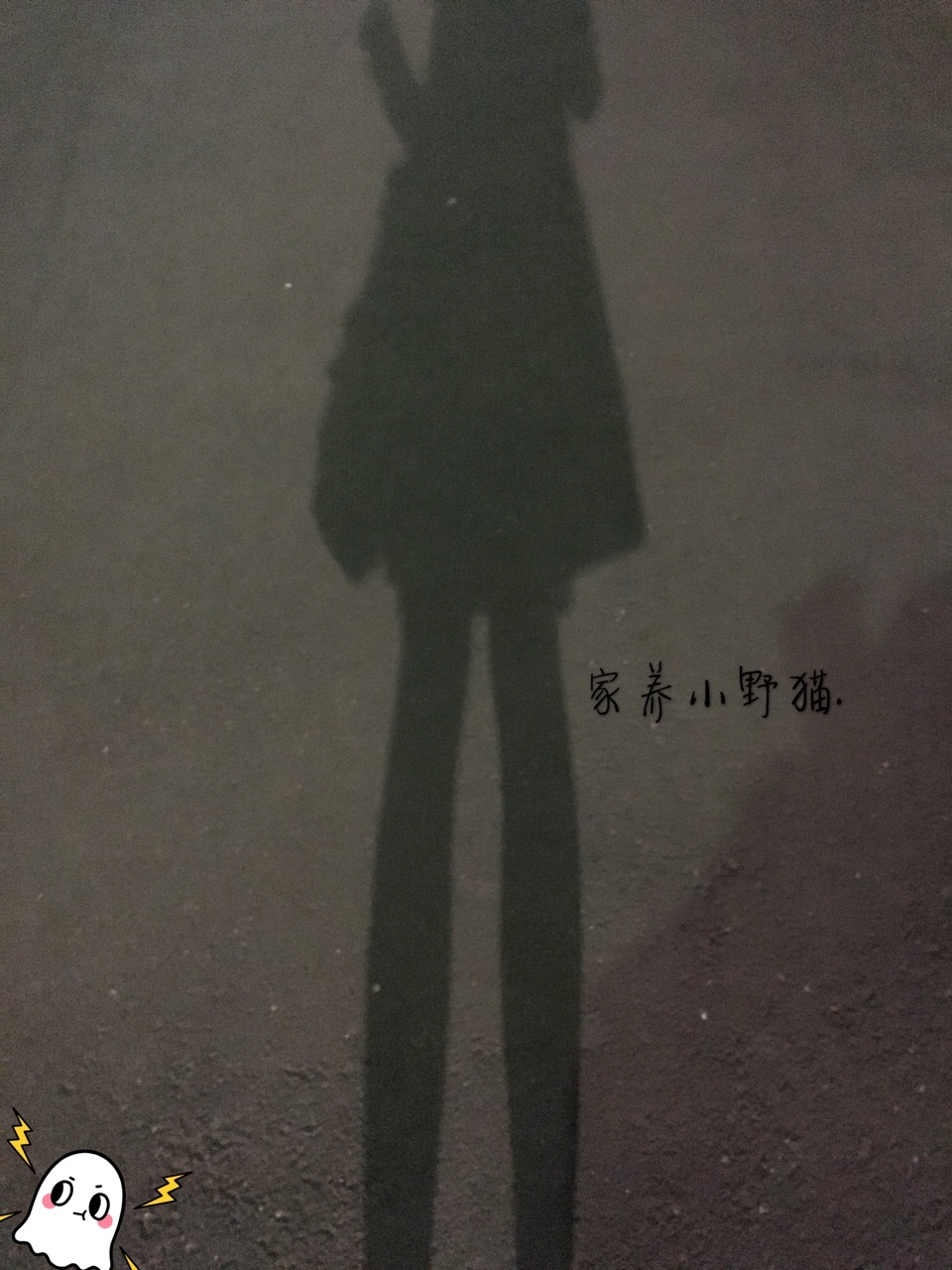 【PR社福利姬】家养小野猫 - 6月尺度视图