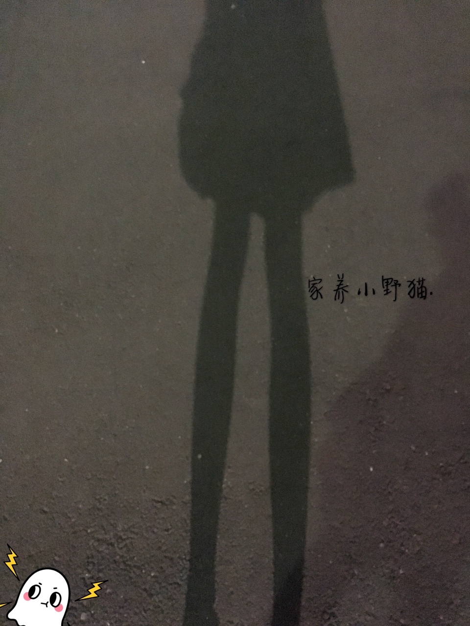 【PR社福利姬】家养小野猫 - 6月尺度视图