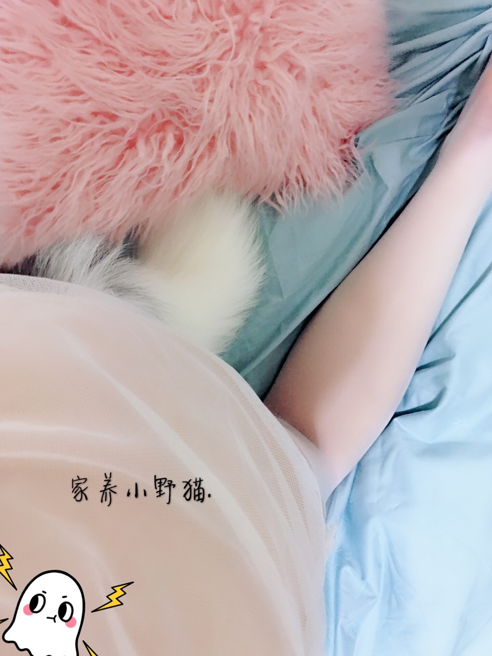 【PR社福利姬】家养小野猫 - 6月尺度视图