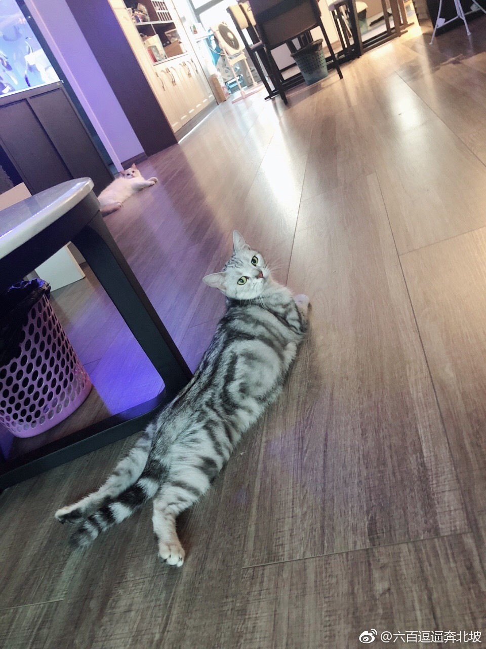 微博第一届美臀大赛美臀照打包 1