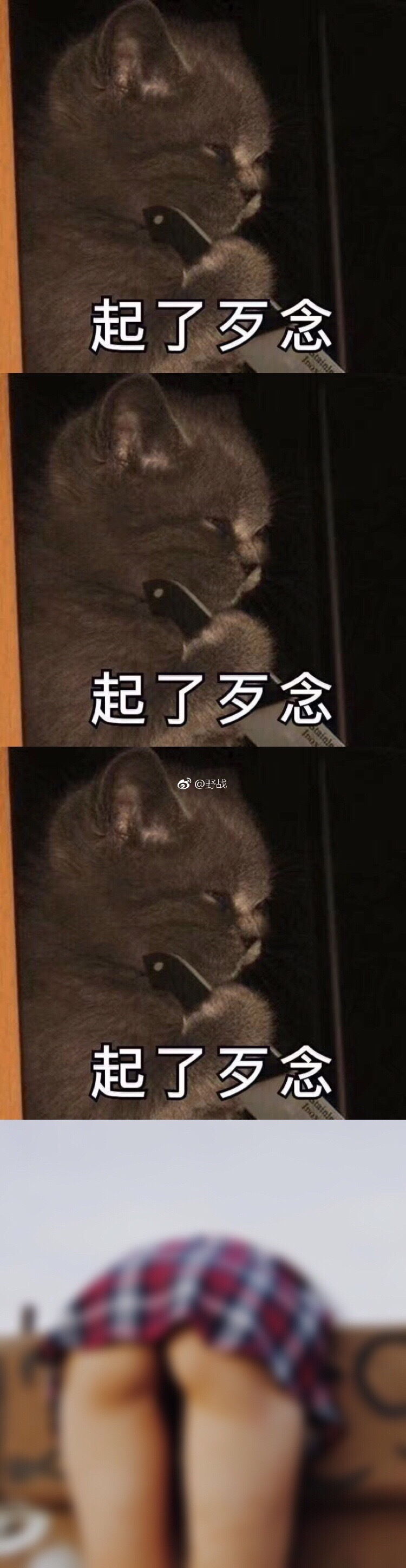 微博第一届美臀大赛美臀照打包 1