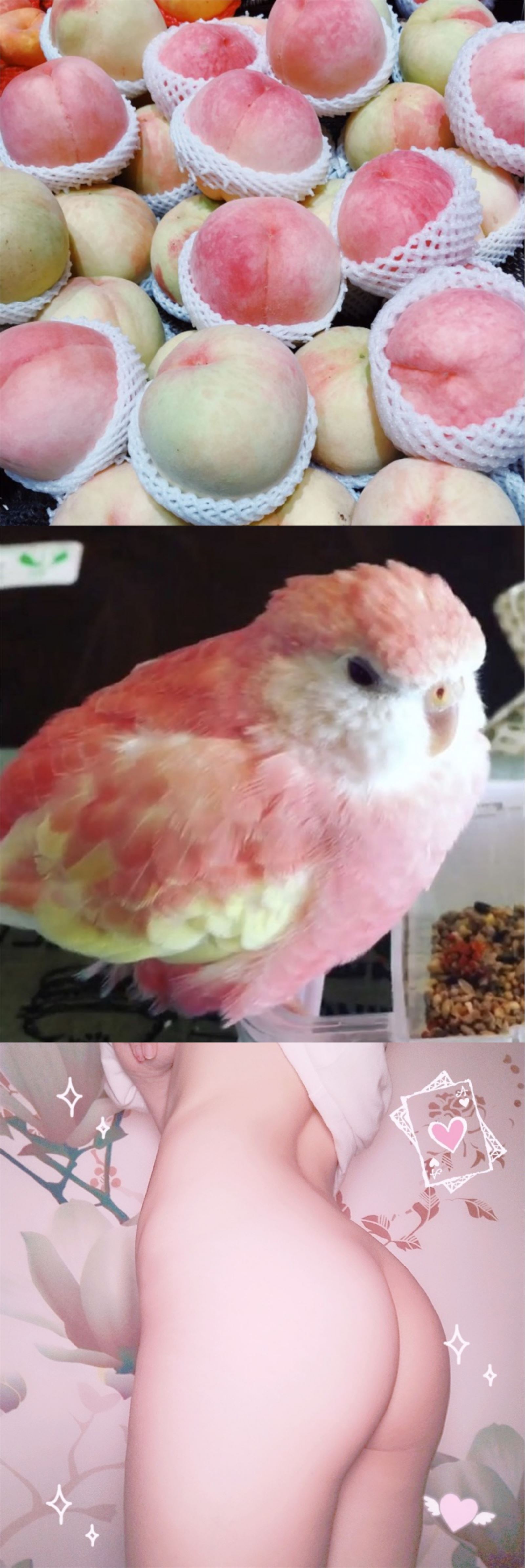 微博第一届美臀大赛美臀照打包 1