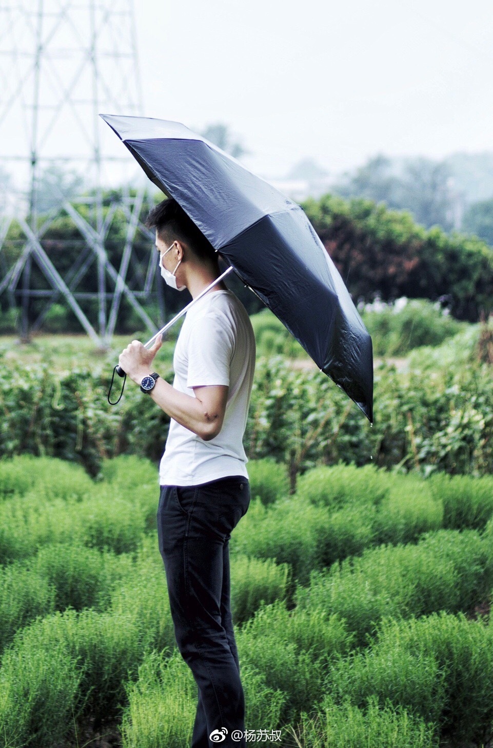 微博第一届美臀大赛美臀照打包 1