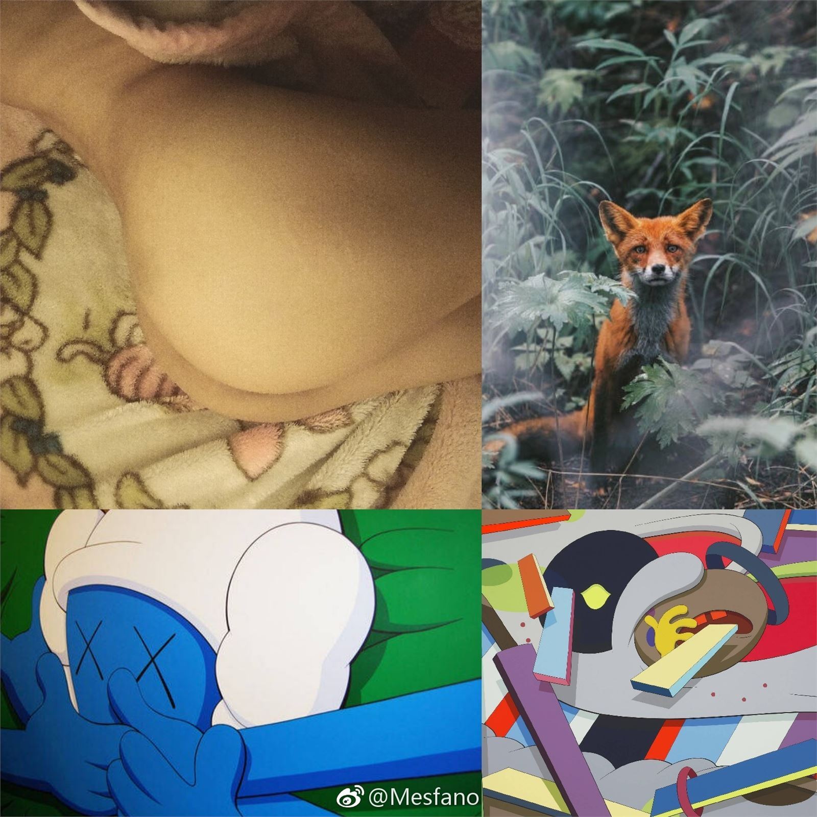 微博第一届美臀大赛美臀照打包 1