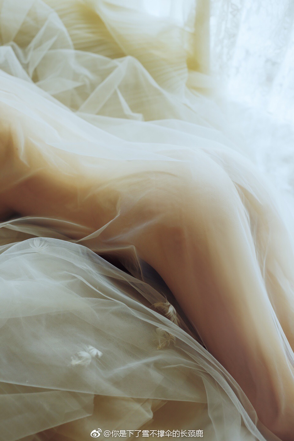 微博第一届美臀大赛美臀照打包 2