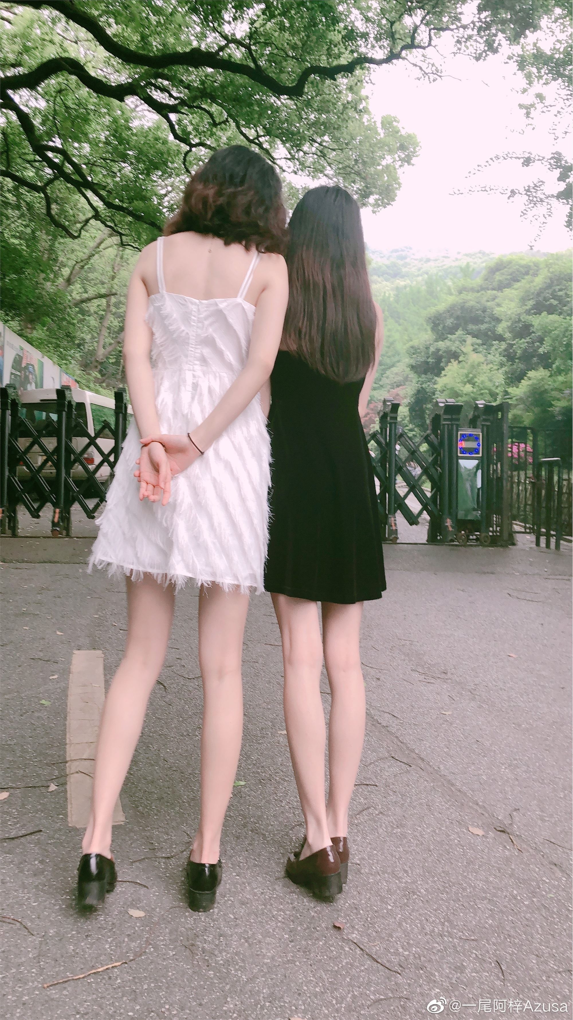 一尾阿梓Azusa 微博杂图14