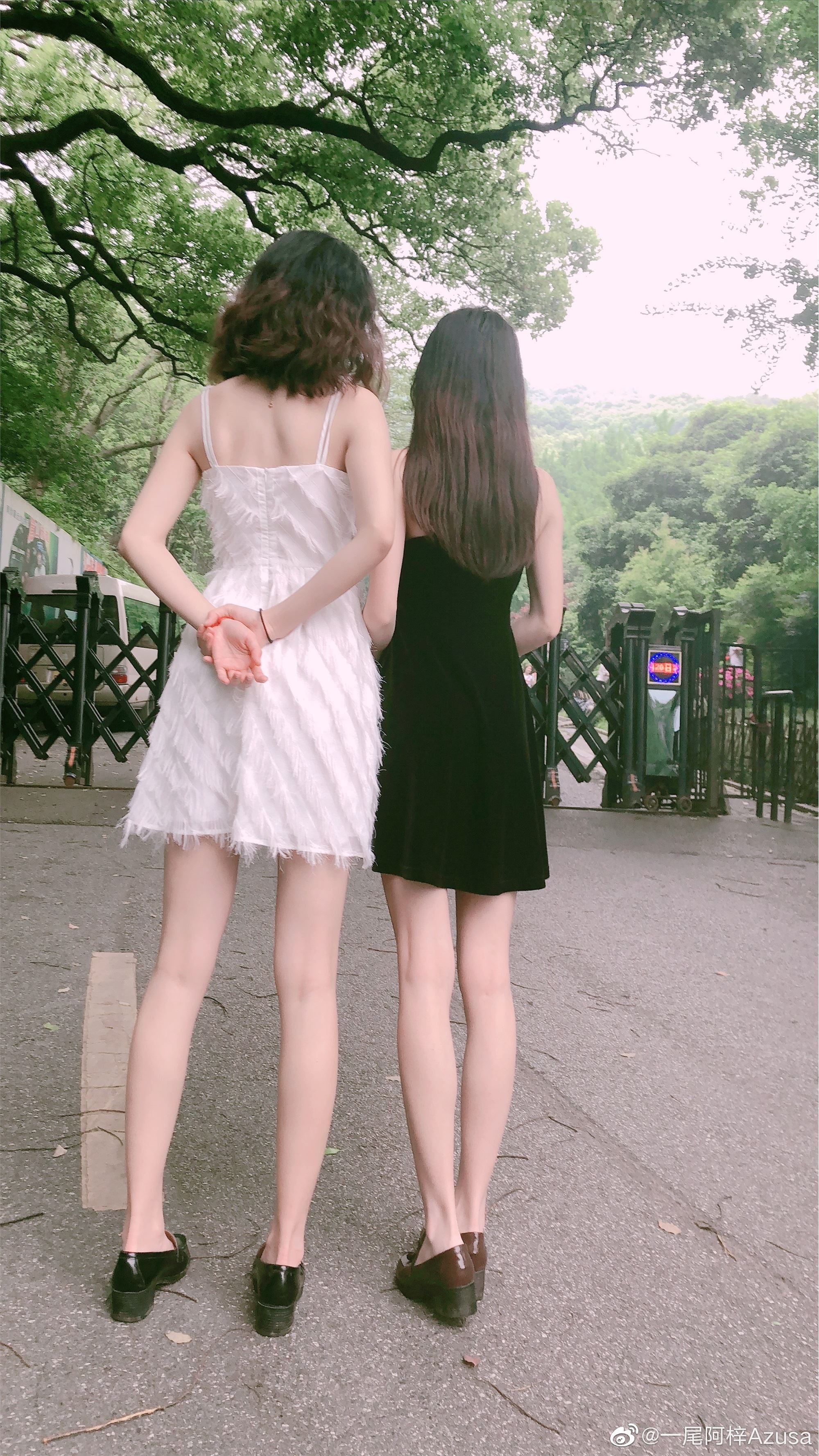 一尾阿梓Azusa 微博杂图14