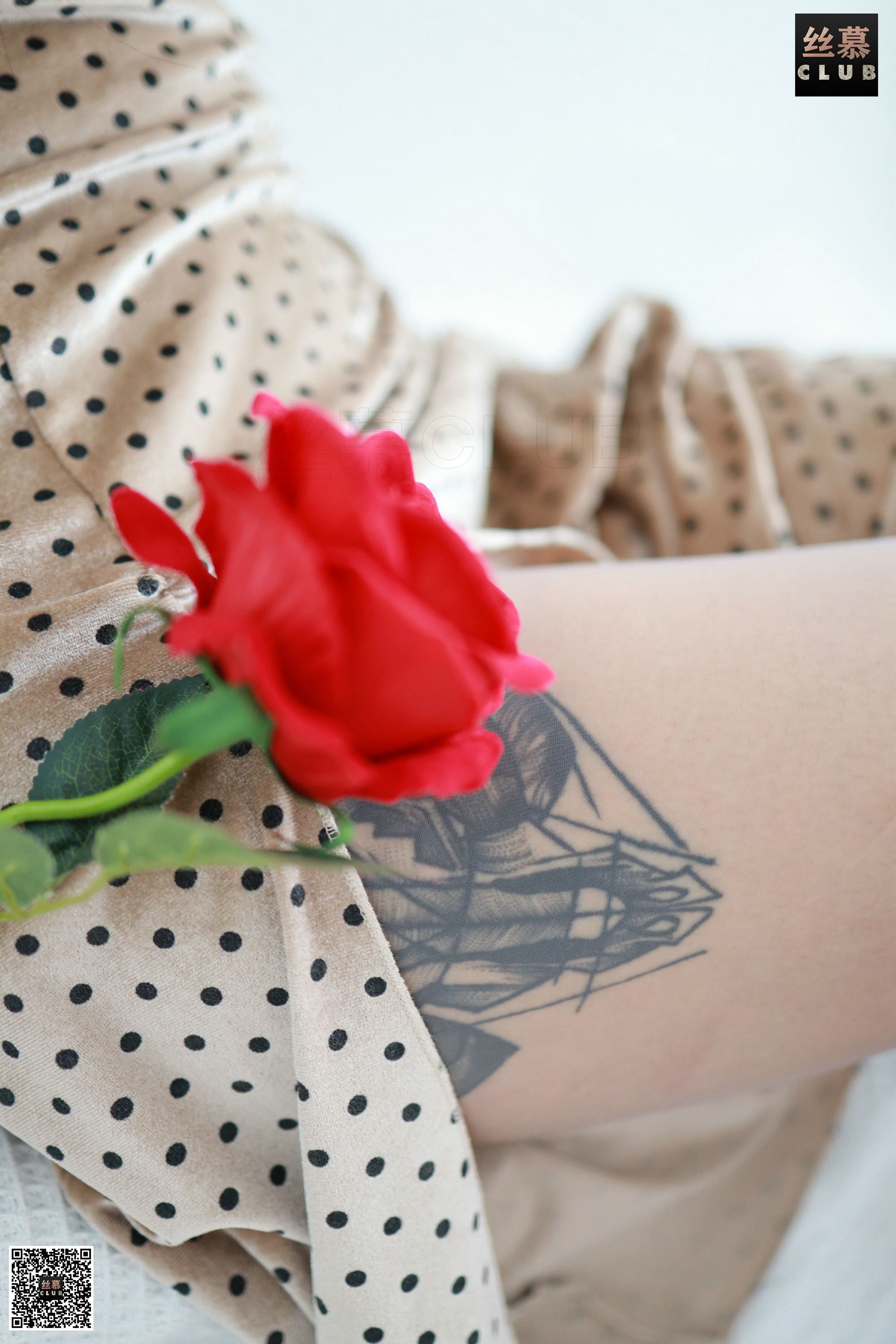 丝慕写真 舒淇的纹身灰S