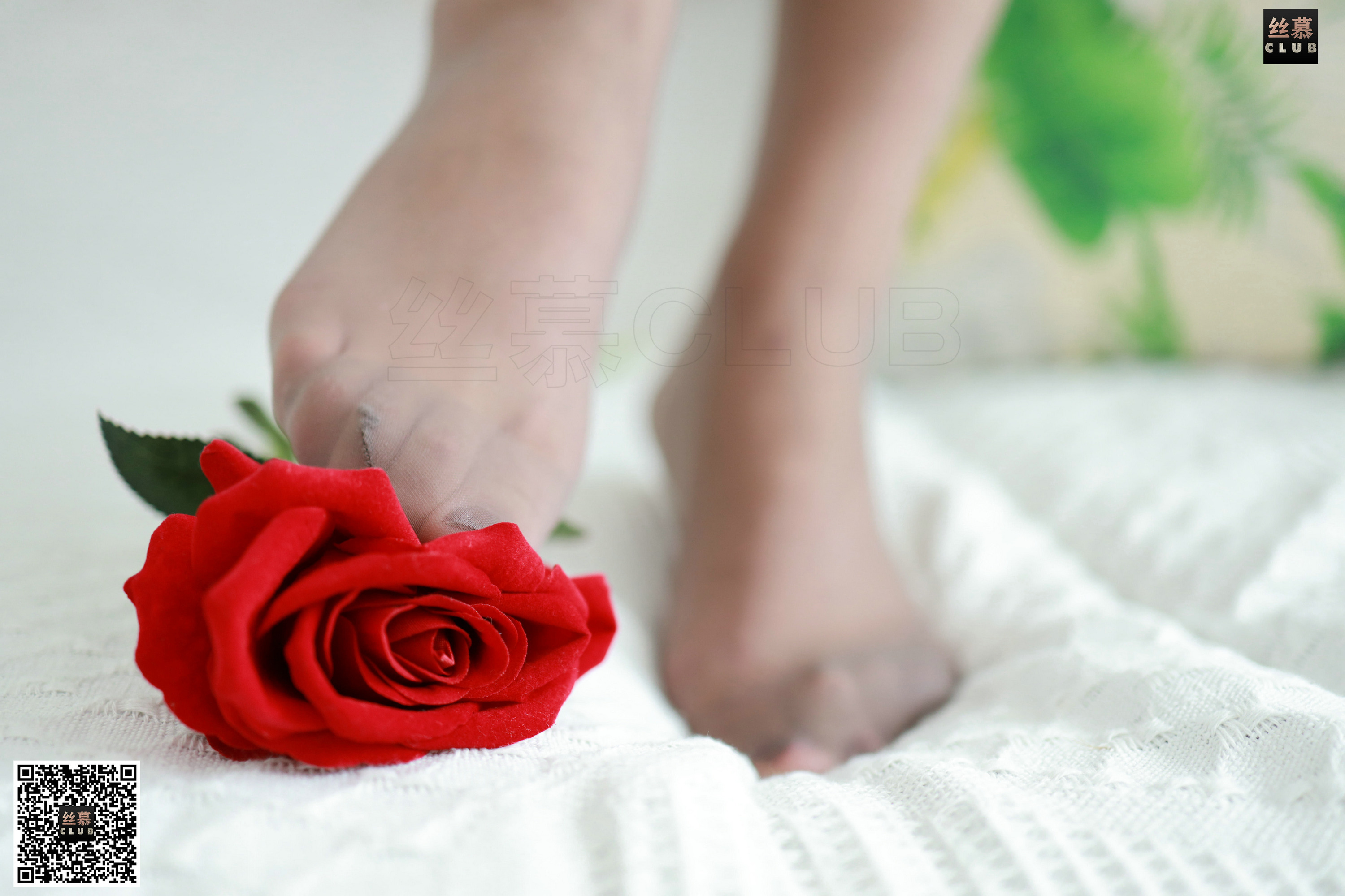 丝慕写真 舒淇的纹身灰S