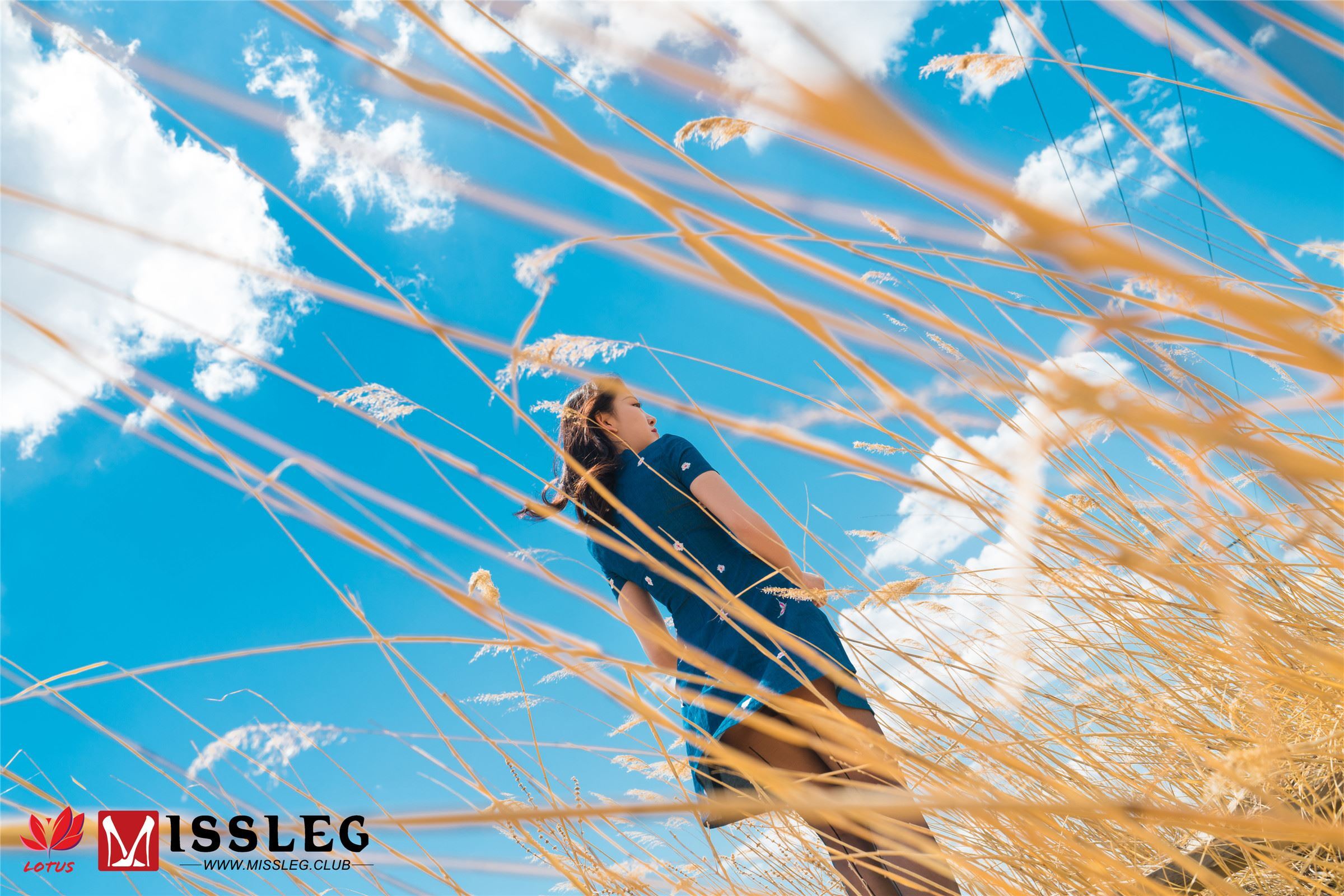 MISSLEG蜜丝 钻石室内M系列 2019.05.13 NO.013 罗兰