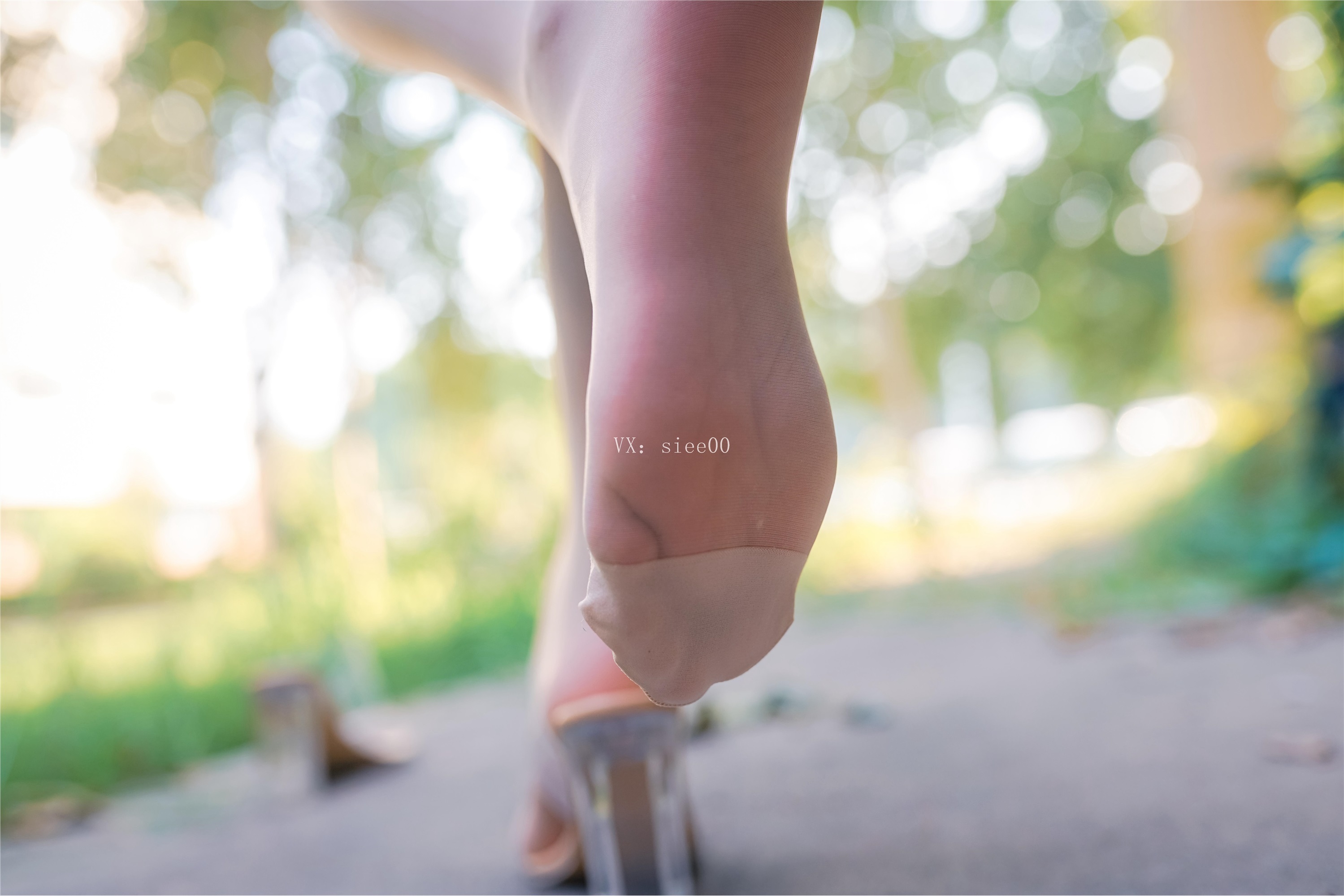 SIEE丝意  No.354 婷婷 拥抱着一往情深