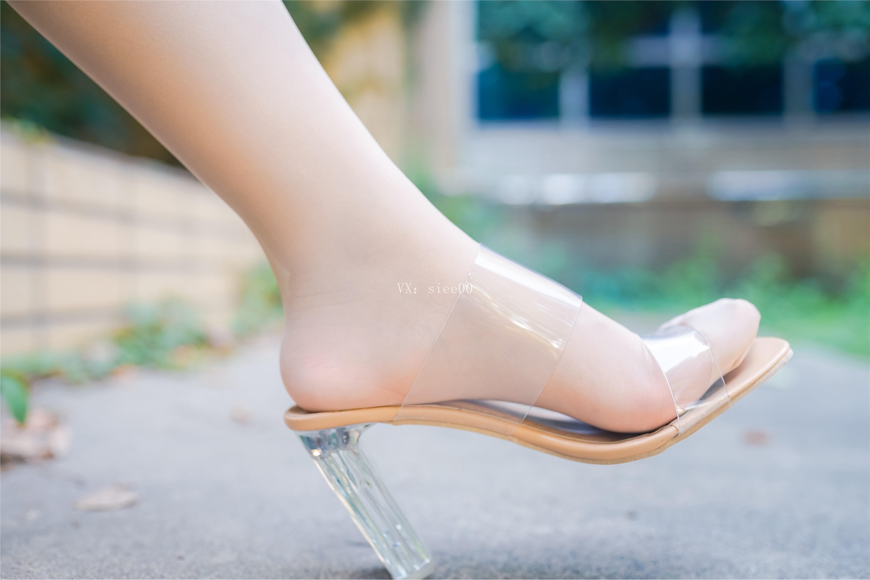 SIEE丝意  No.354 婷婷 拥抱着一往情深