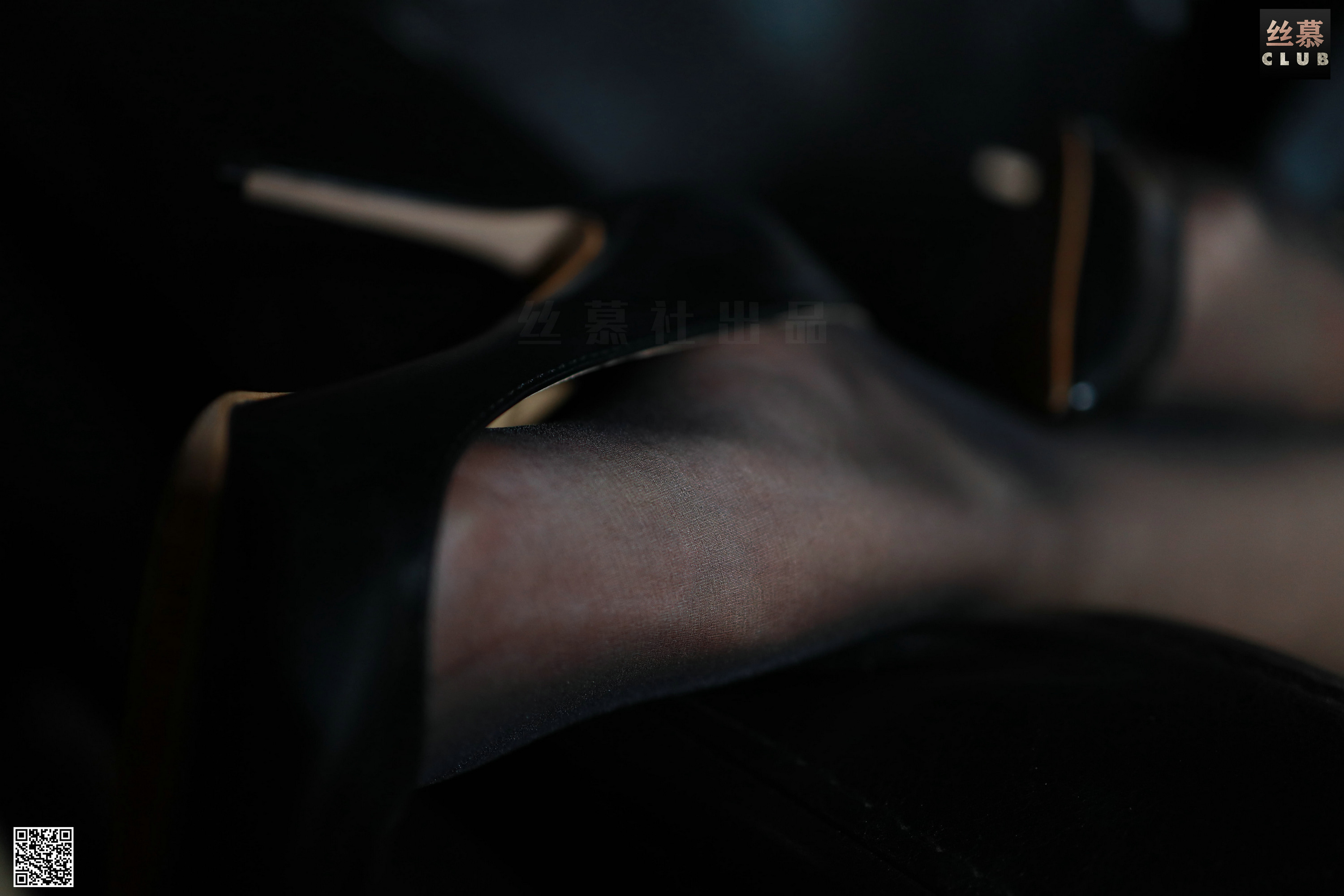 丝慕写真 SM099 花姐 – 灯下尤物