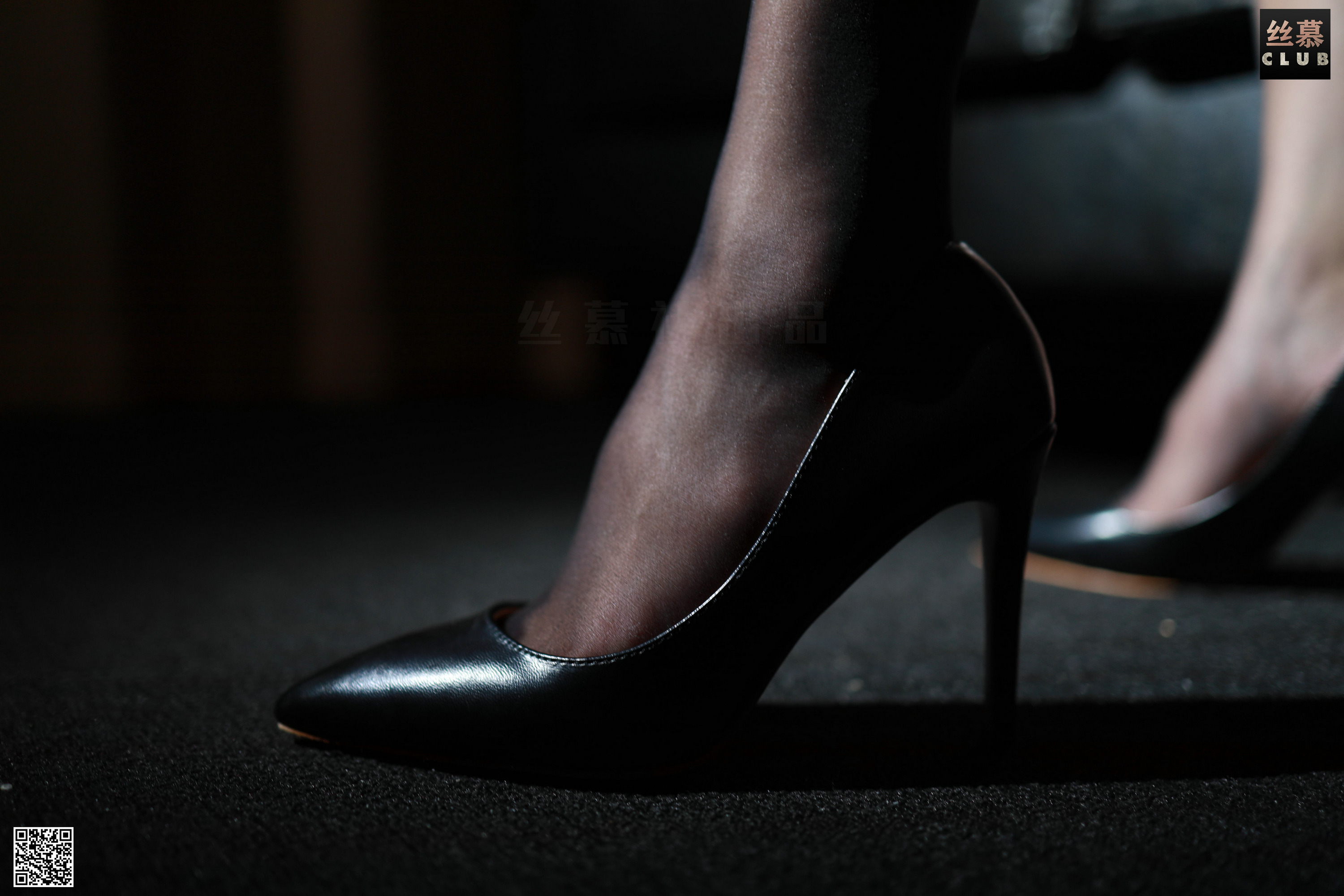 丝慕写真 SM099 花姐 – 灯下尤物