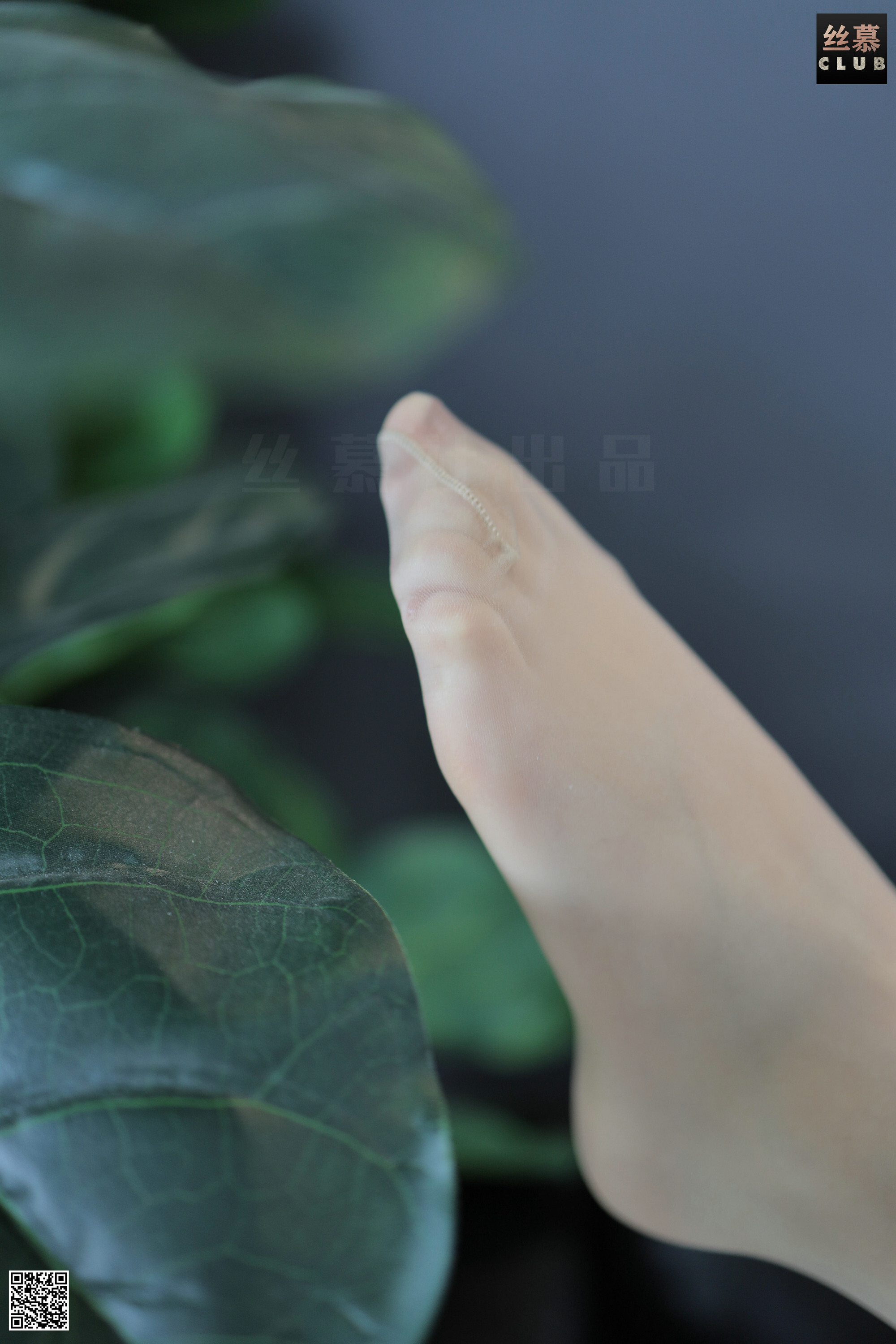 丝慕写真 新晋腿神 – 文欣