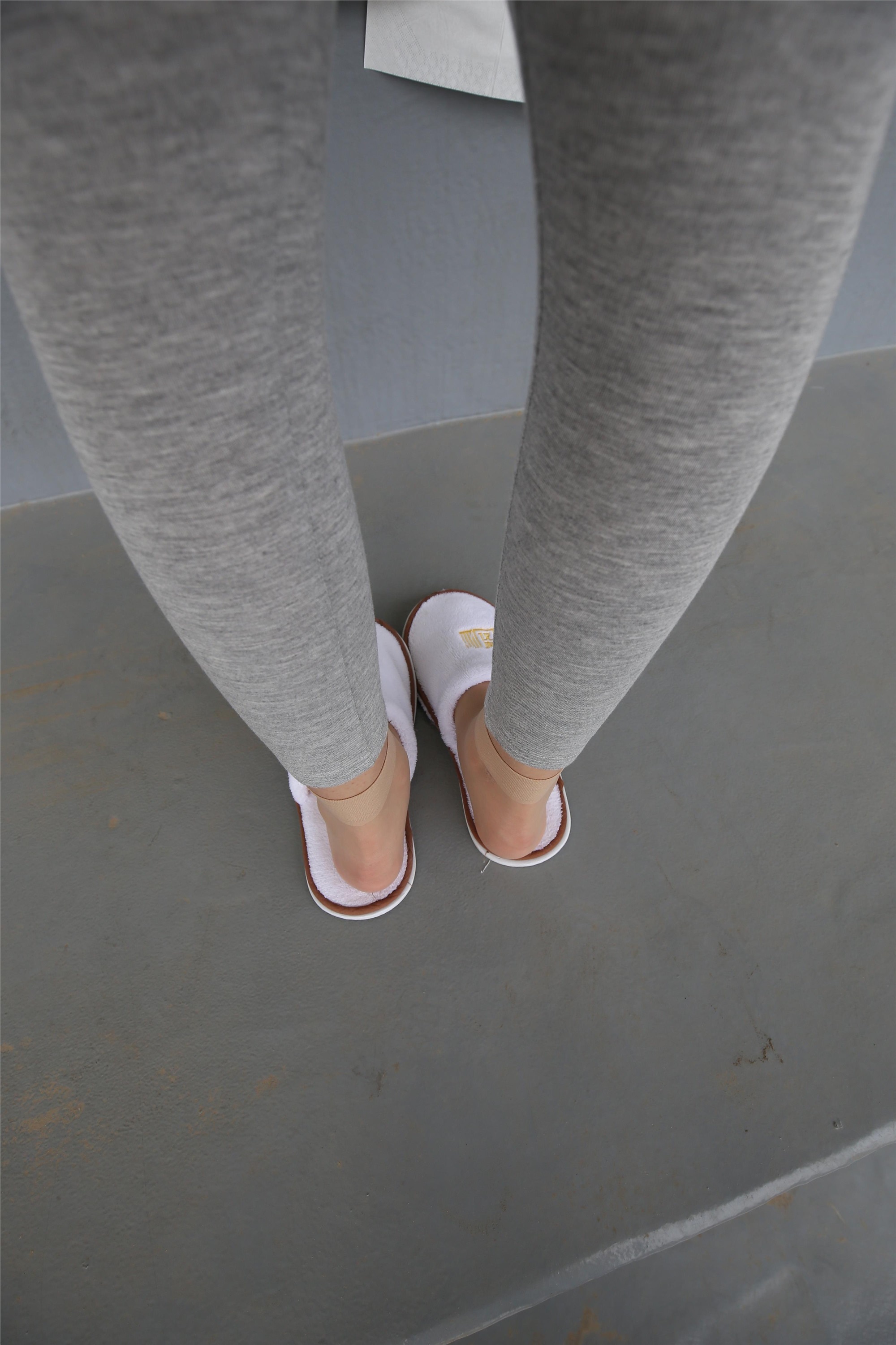 大西瓜美女图片 Z3-6 空姐灰丝459p1